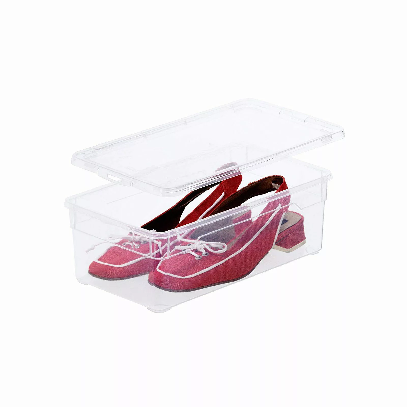 ROTHO Aufbewahrungsbox (12er-Set, 12 St) günstig online kaufen