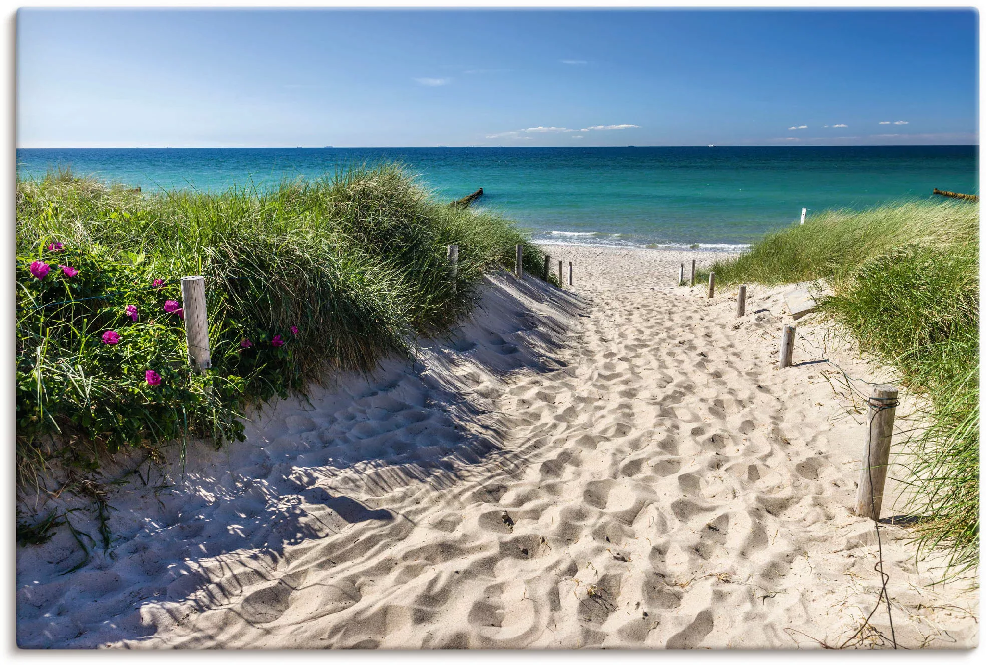 Artland Wandbild »Weg zum Strand an der Ostsee«, Strandbilder, (1 St.), als günstig online kaufen