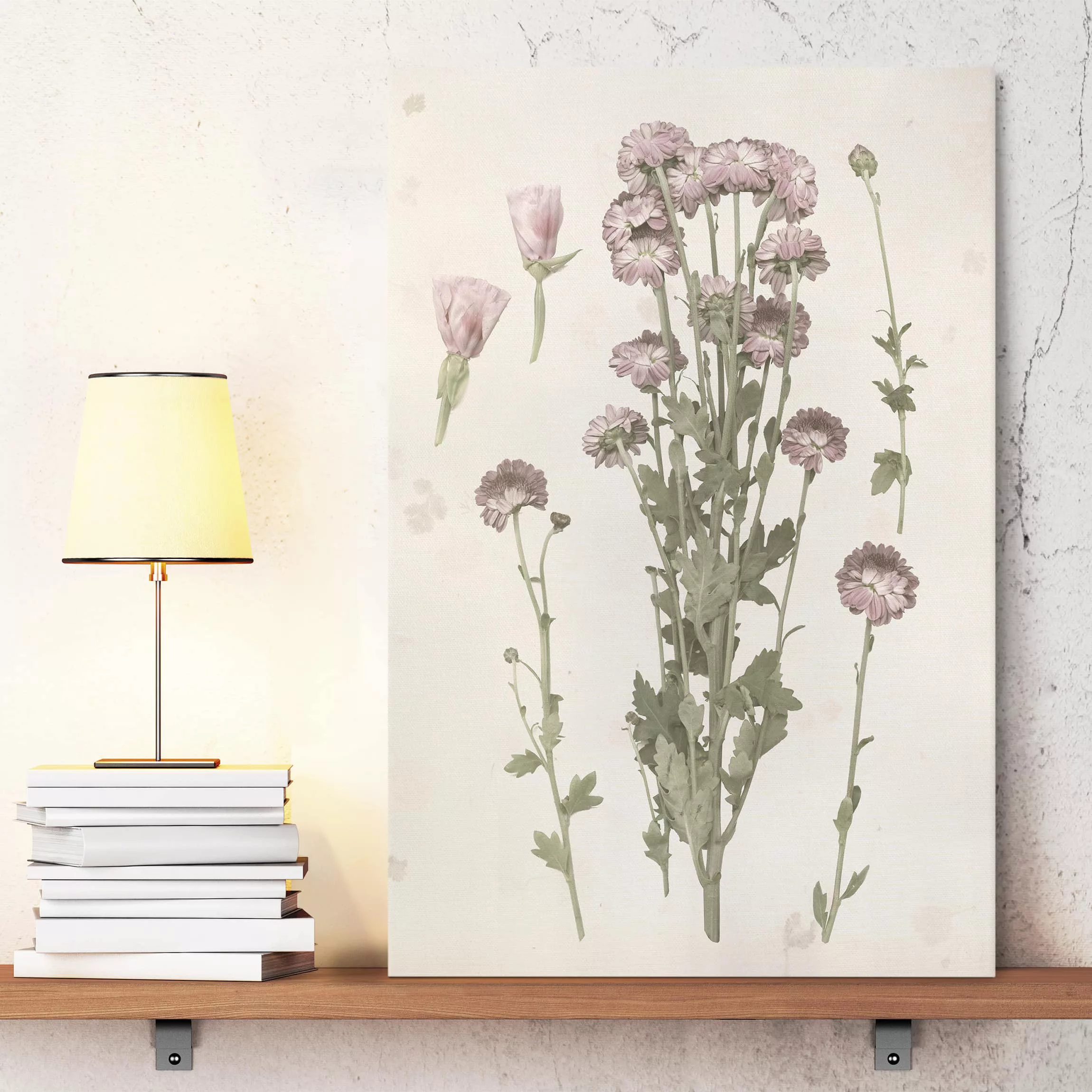 Leinwandbild Botanik - Hochformat Herbarium in rosa I günstig online kaufen