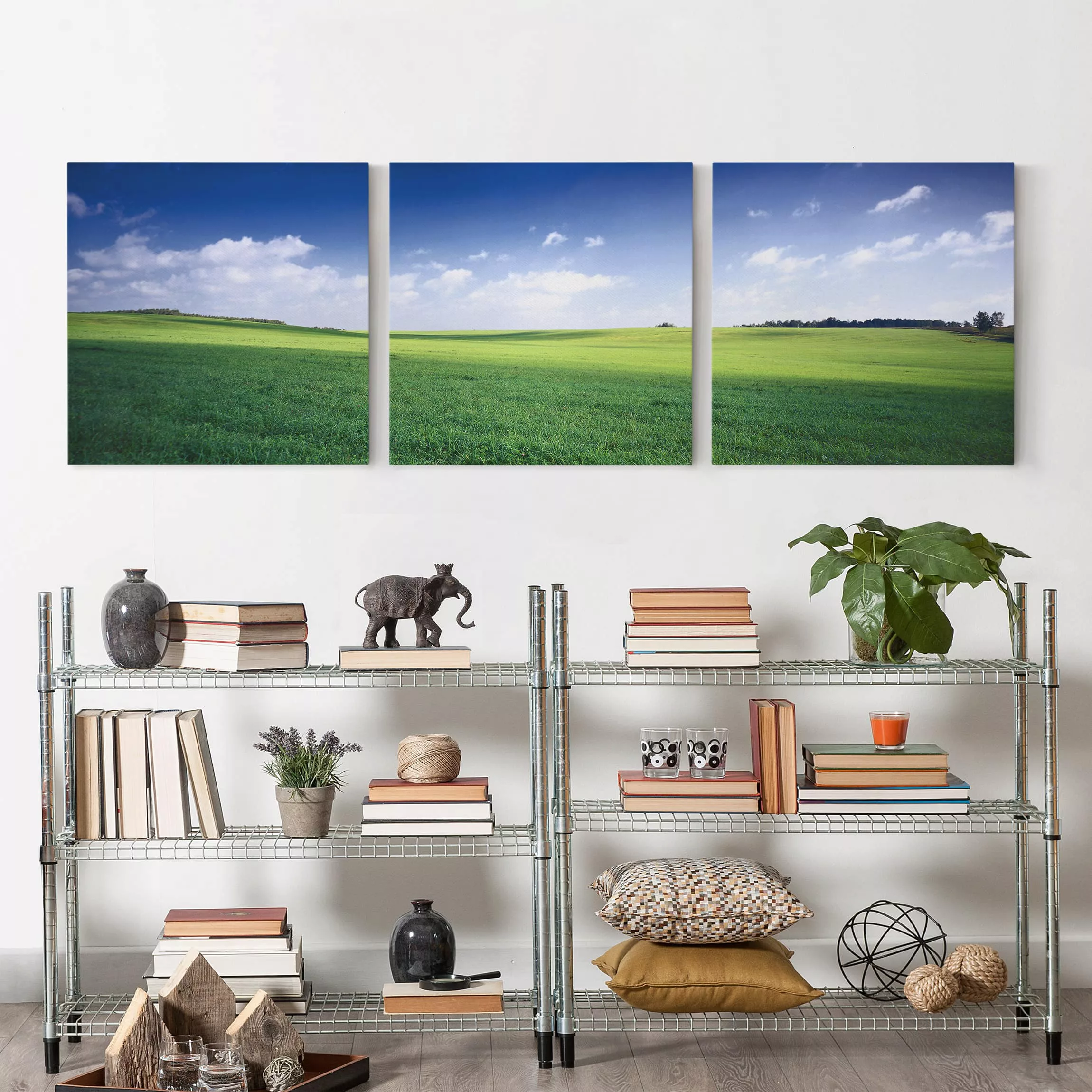 3-teiliges Leinwandbild Natures Peace günstig online kaufen