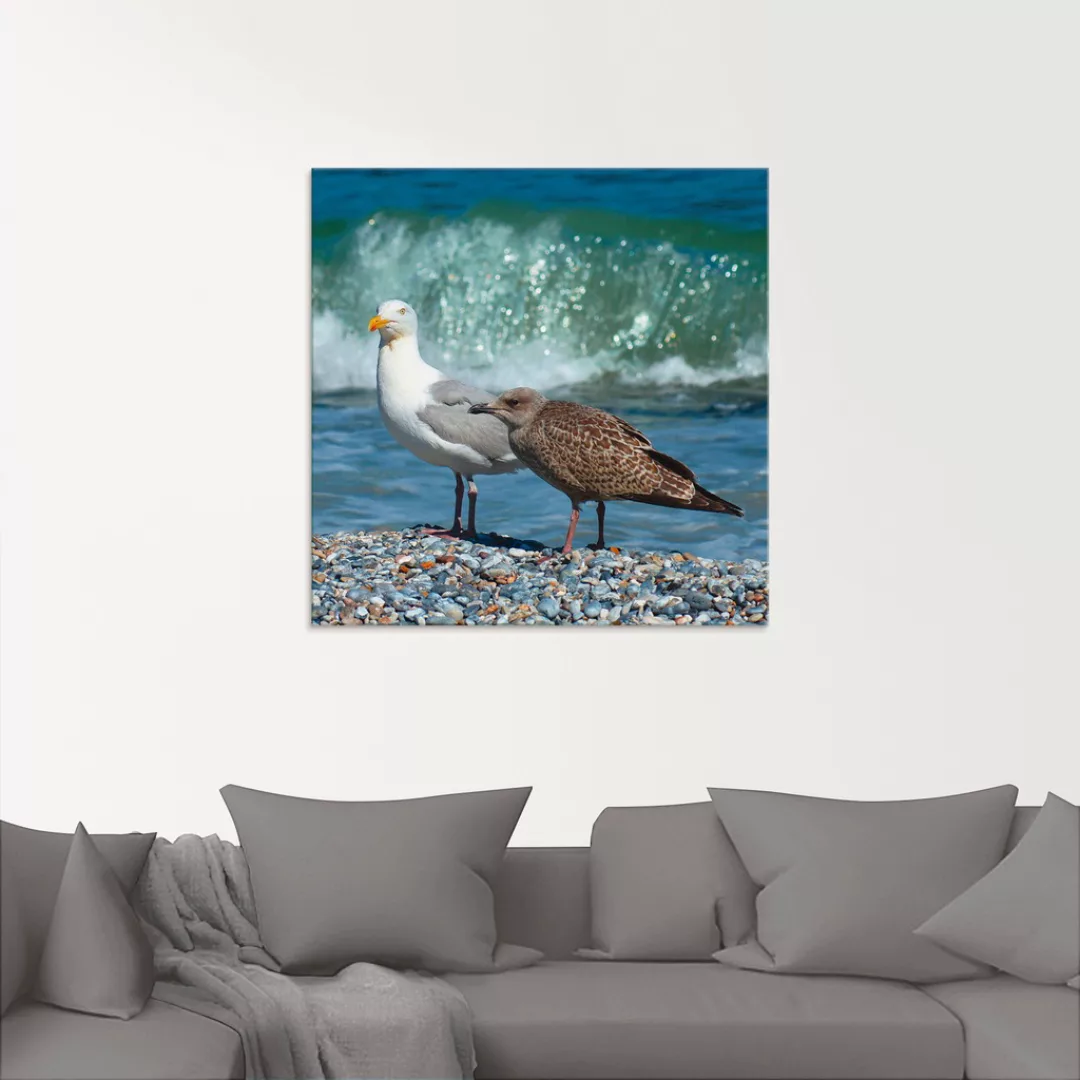 Artland Glasbild "Möwen in der Meeresbrandung", Vögel, (1 St.), in verschie günstig online kaufen