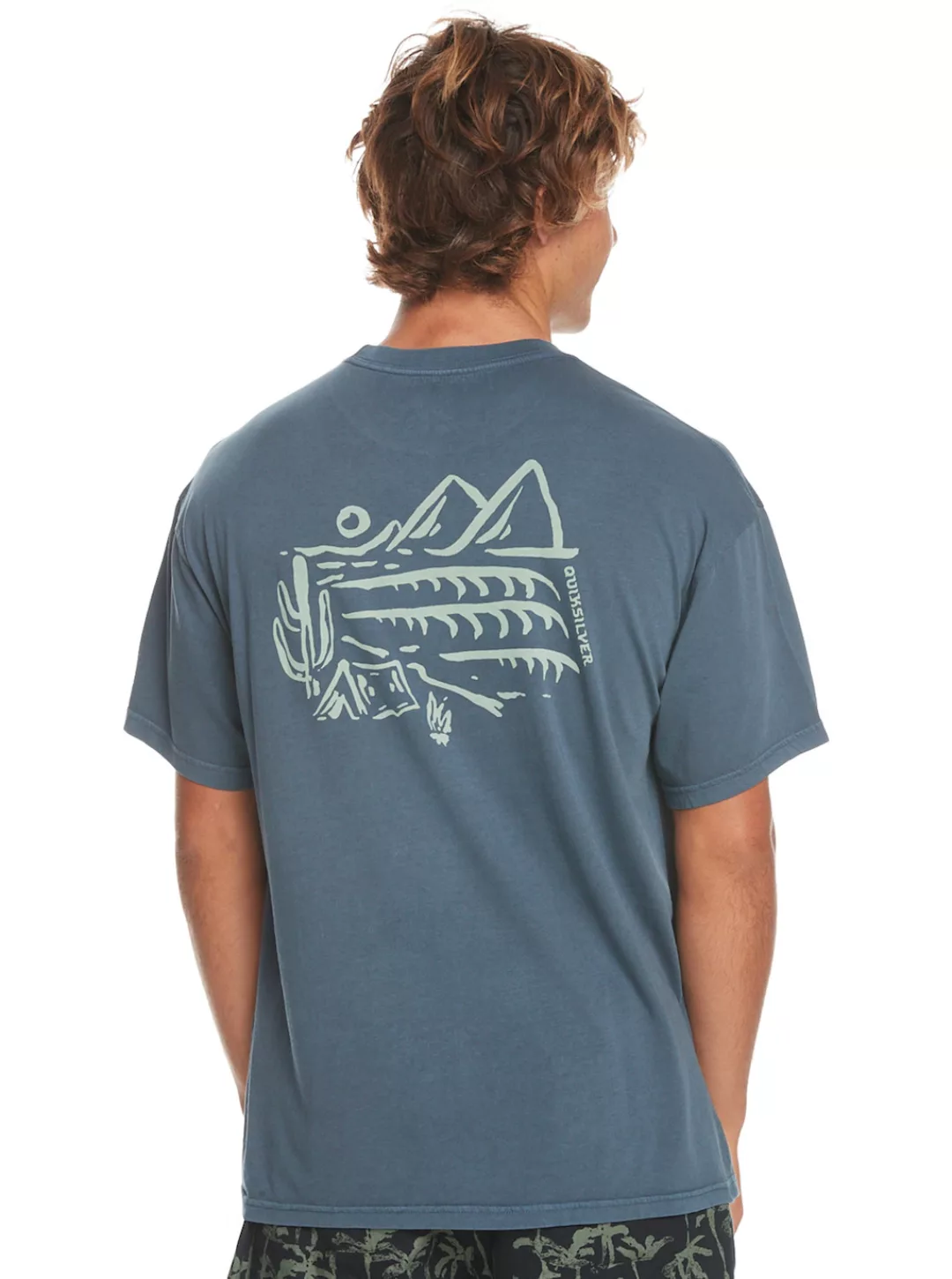 Quiksilver T-Shirt Silver Lining günstig online kaufen