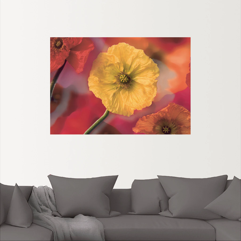 Artland Wandbild "Fotokollage Mohnblumen", Blumenbilder, (1 St.), als Leinw günstig online kaufen