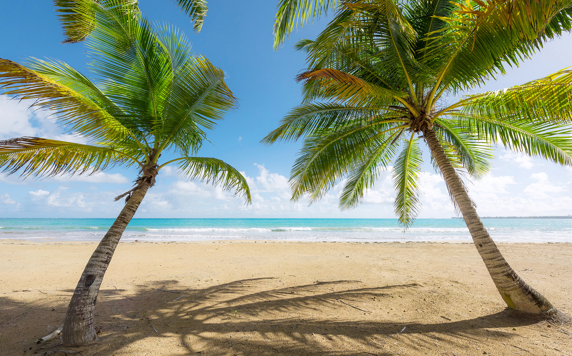 Komar Fototapete Caribbean Days II B/L: ca. 450x280 cm günstig online kaufen