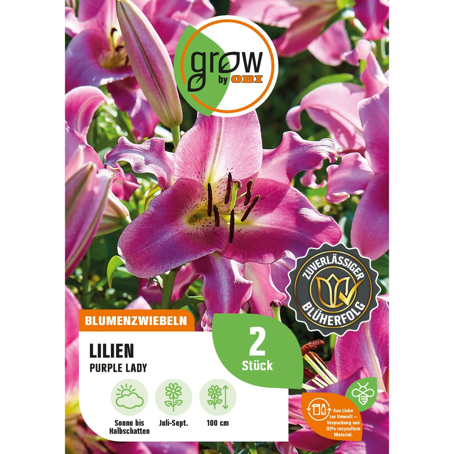 GROW by OBI Lilie Purple Lady Höhe ca. 100 cm Lilium O.T. Hybrid günstig online kaufen