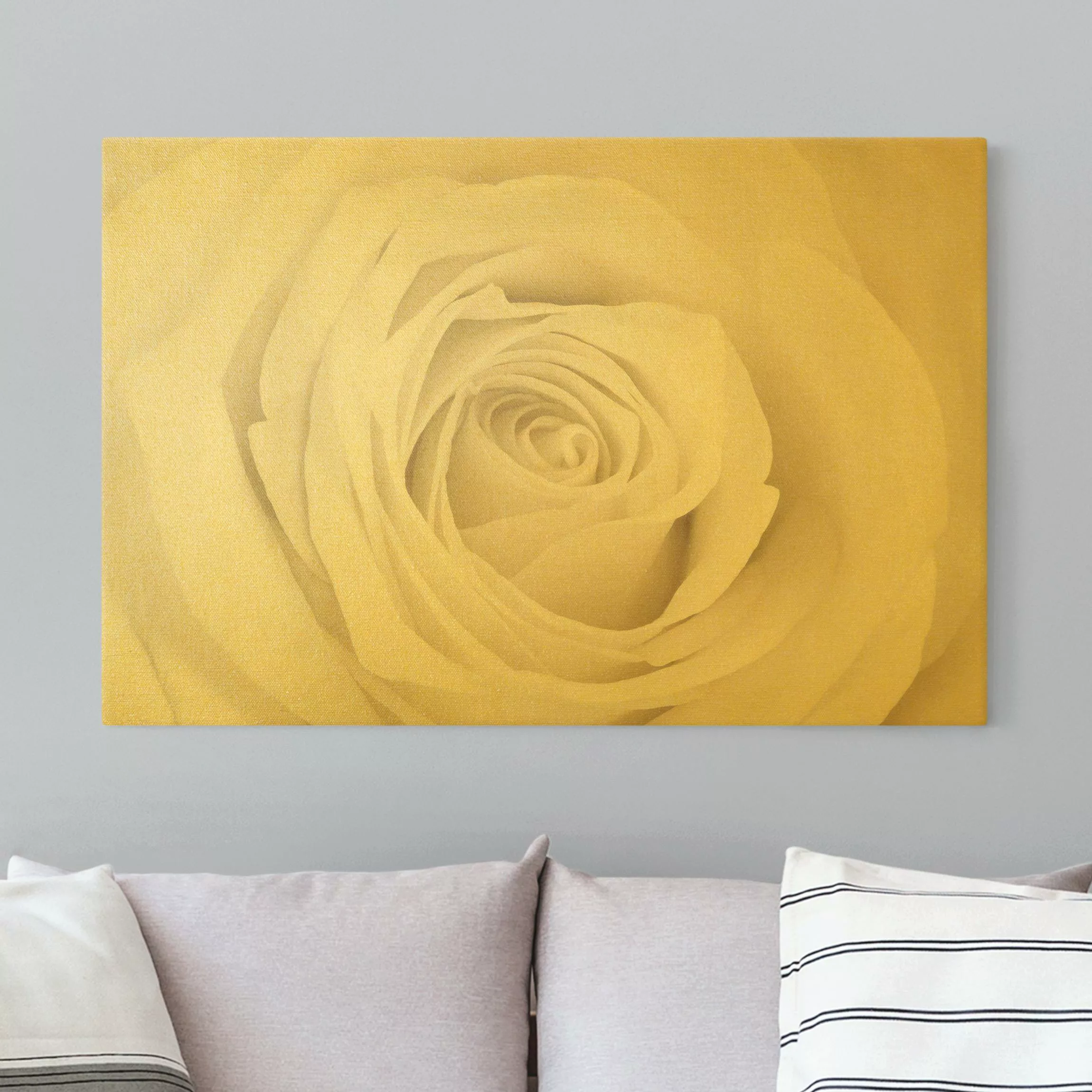 Leinwandbild Gold Pretty White Rose günstig online kaufen