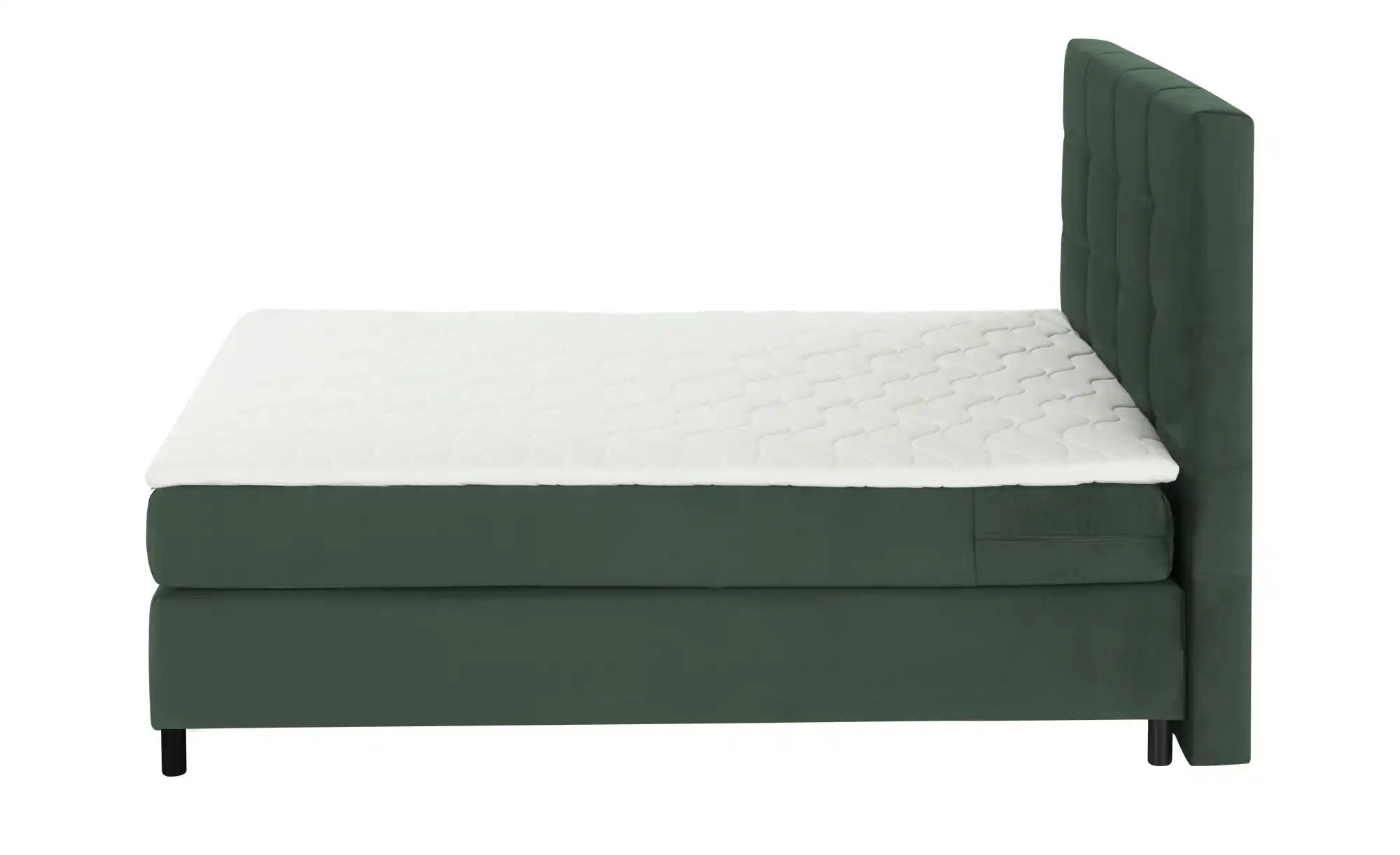 uno Boxspringbett  Wind ¦ grün ¦ Maße (cm): B: 140 H: 152 Betten > Komfortb günstig online kaufen