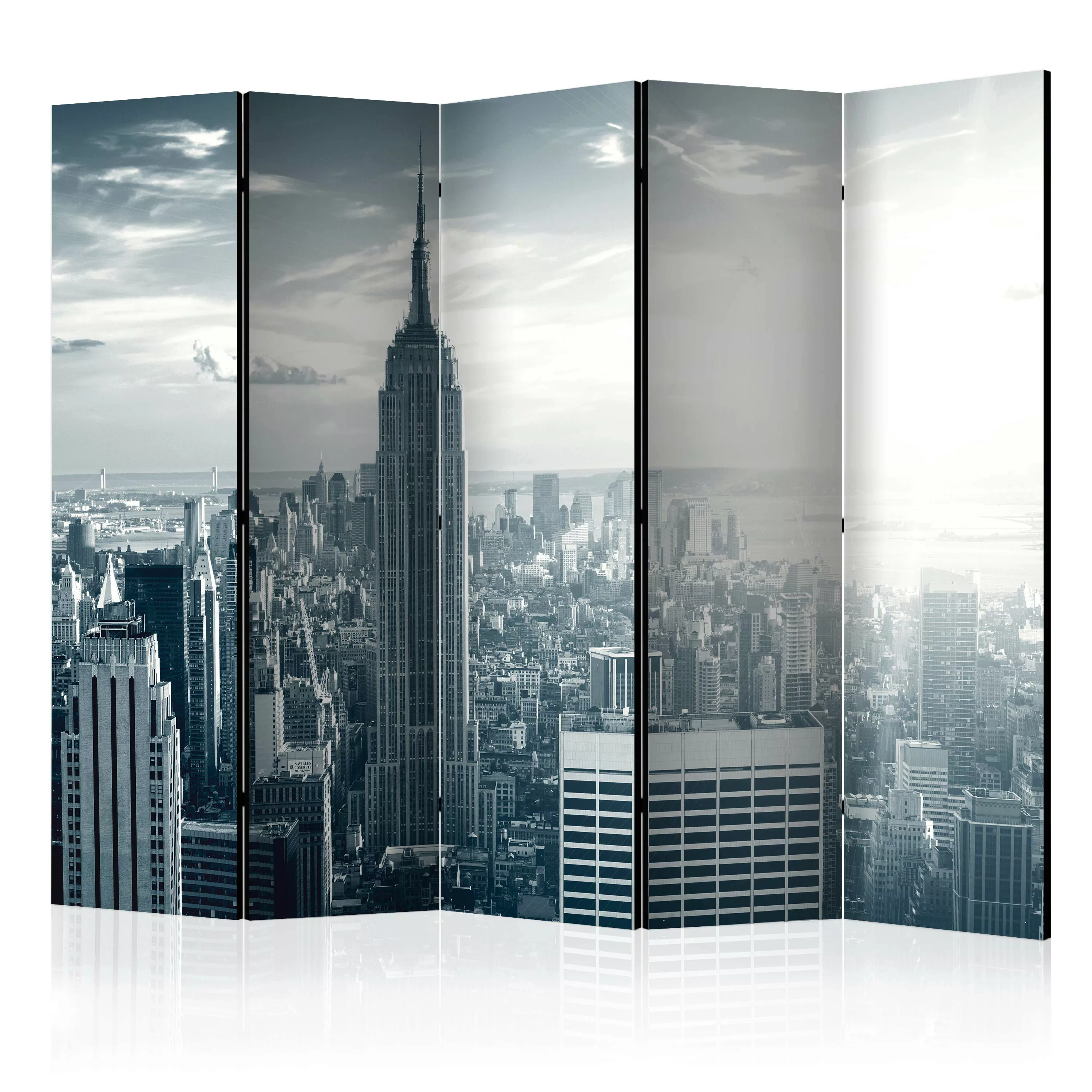 5-teiliges Paravent - Amazing View To New York Manhattan At Sunrise Ii [roo günstig online kaufen