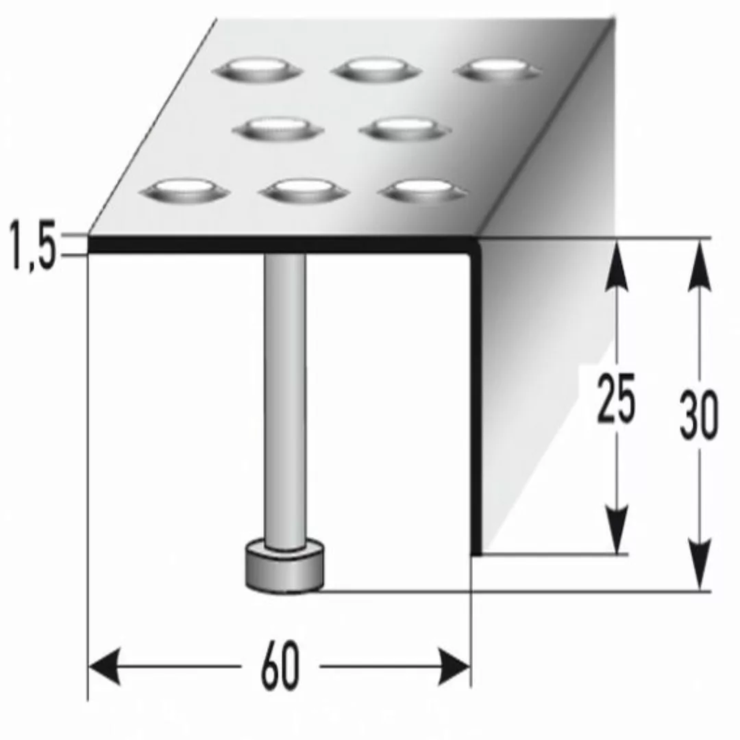 Treppenkante "Lana" / Winkelprofil (Größe 25 mm x 60 mm) aus Edelstahl matt günstig online kaufen