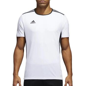 adidas  T-Shirts & Poloshirts CD8438 günstig online kaufen