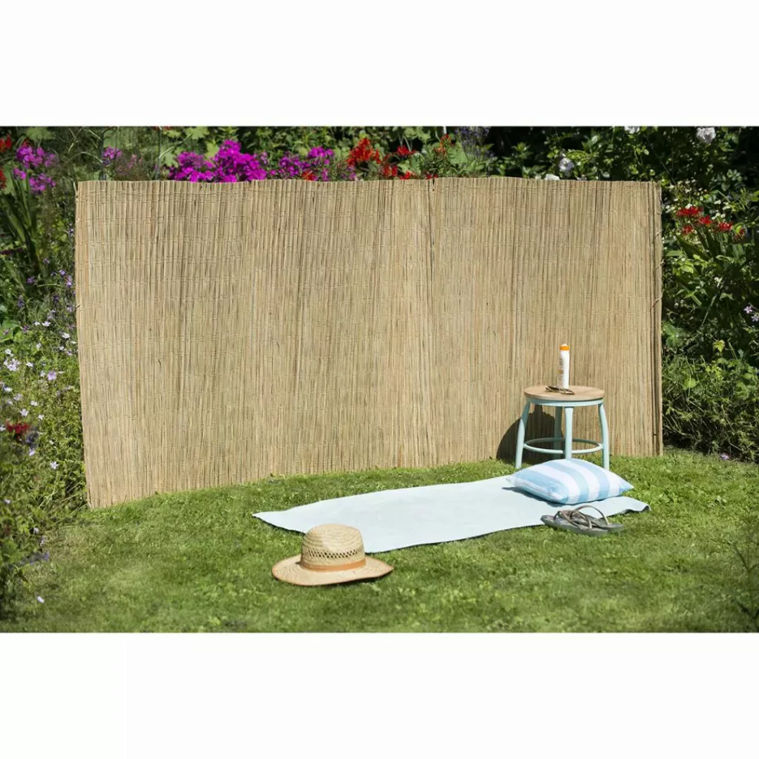 Nature Gartenzaun Riedgras 1,5x3 M günstig online kaufen