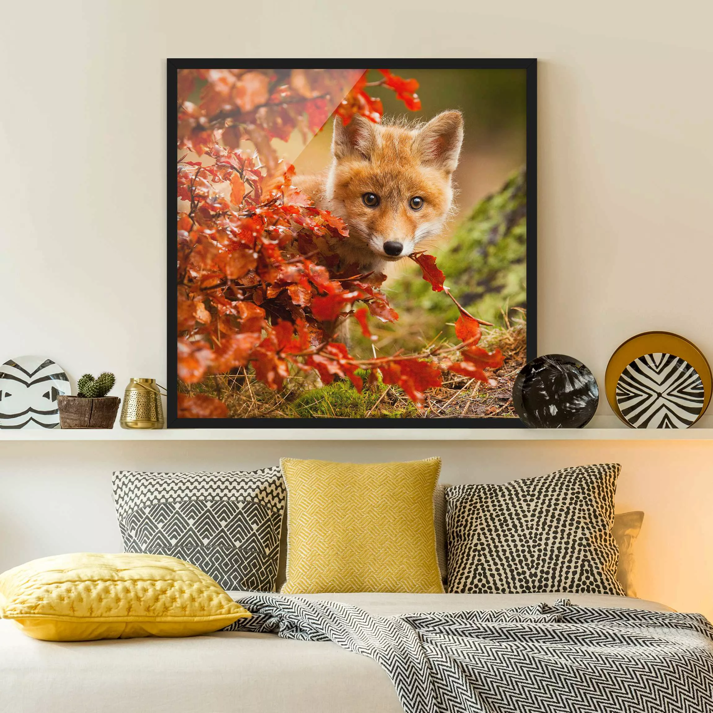 Bild mit Rahmen Tiere - Quadrat Fuchs im Herbst günstig online kaufen