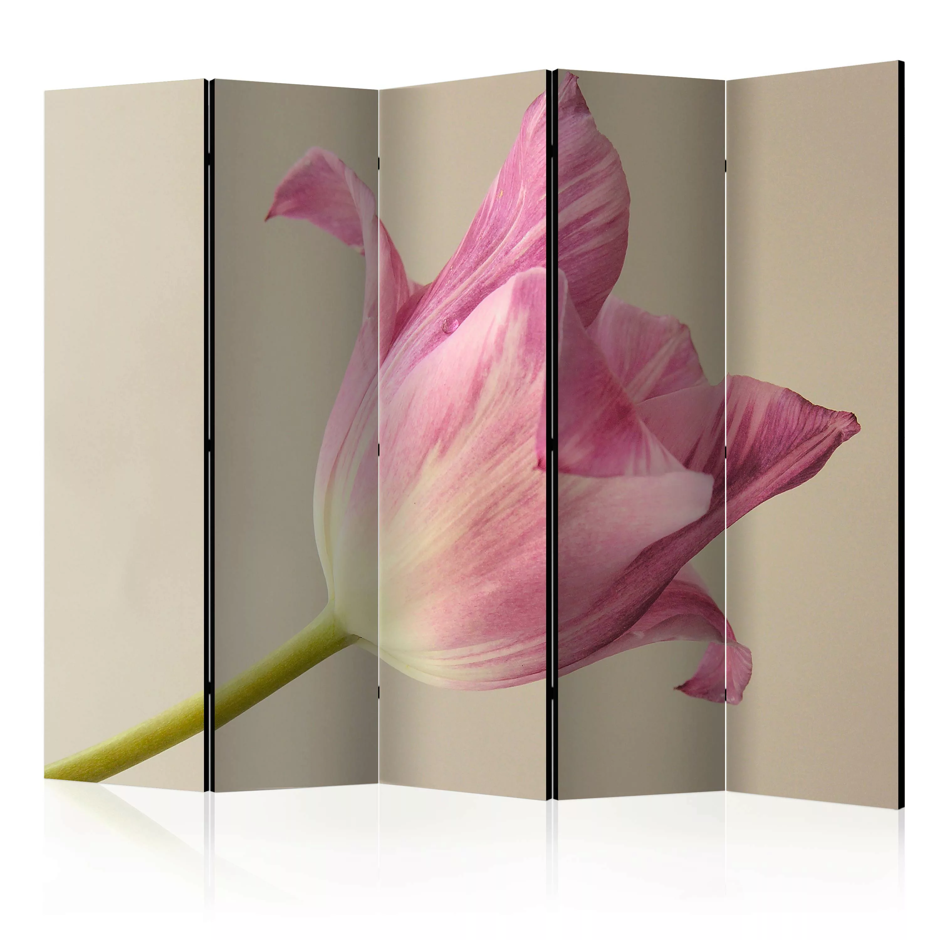 5-teiliges Paravent - Pink Tulip Ii [room Dividers] günstig online kaufen