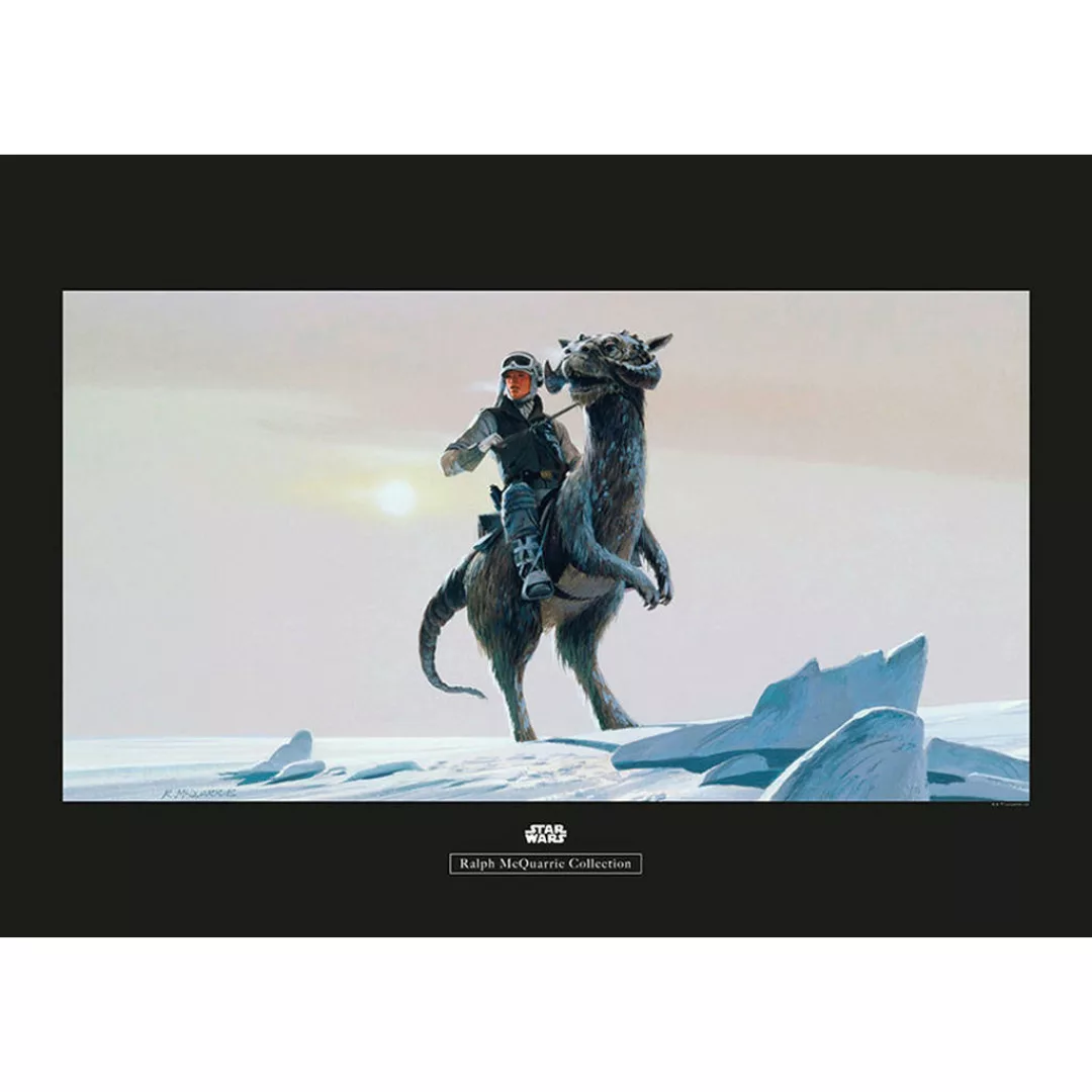 Komar Poster Star Wars Classic RMQ Hoth Tauntaun Star Wars B/L: ca. 70x50 c günstig online kaufen