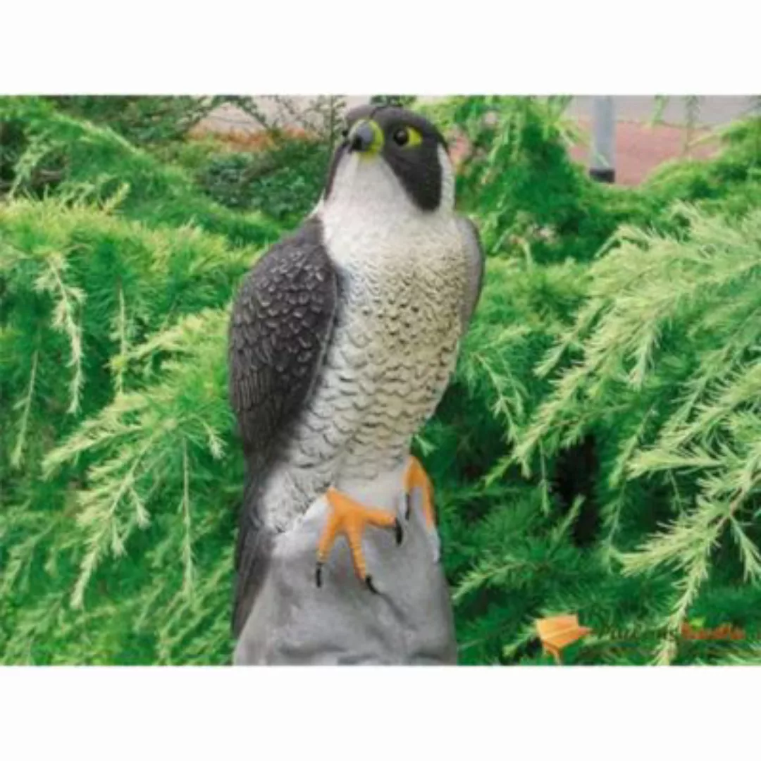 Ubbink Tierfigur Falke 40 cm Gartendekoration grau günstig online kaufen