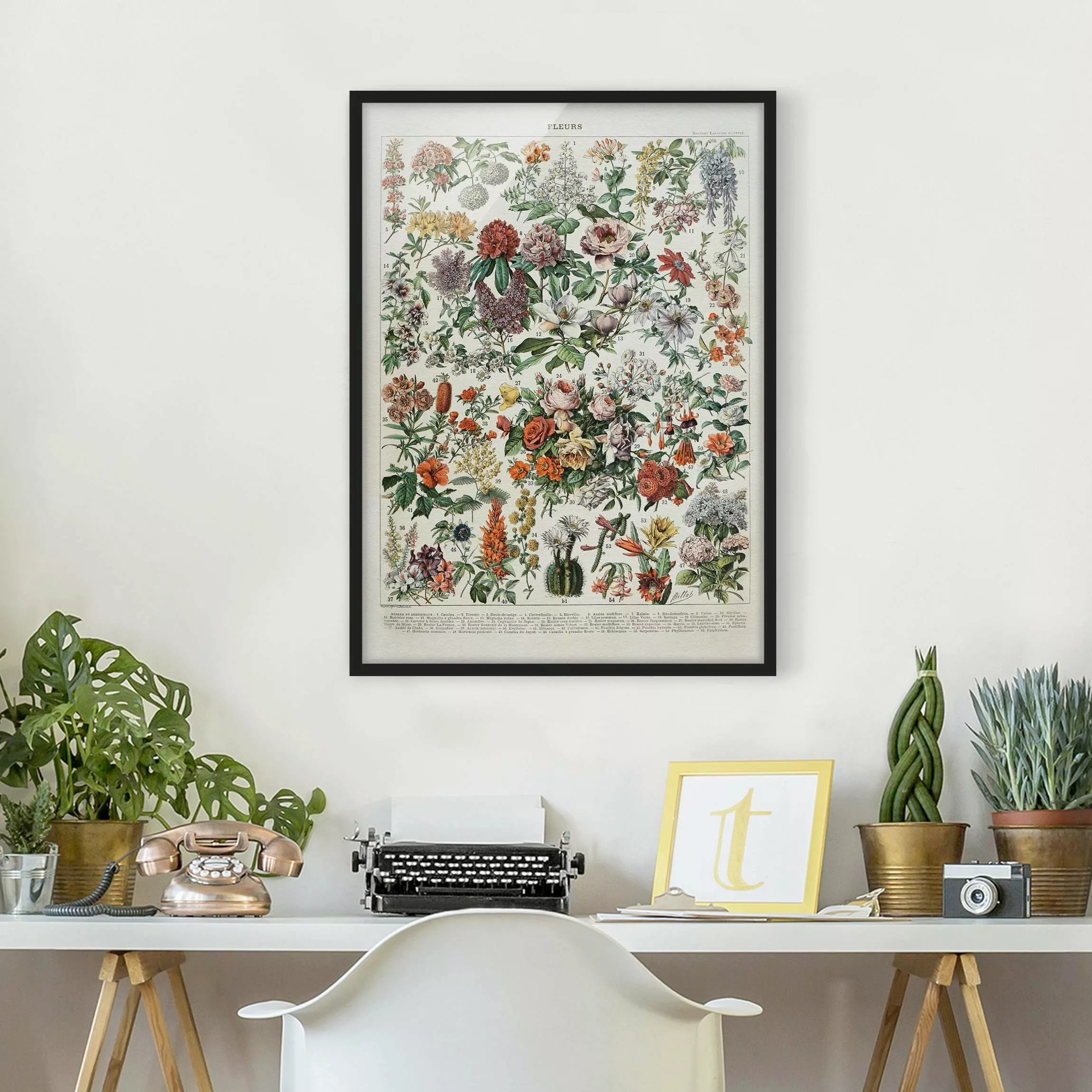 Bild mit Rahmen Blumen - Hochformat Vintage Lehrtafel Blumen II günstig online kaufen