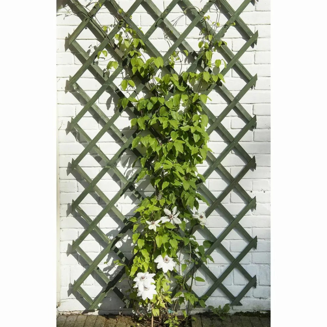 Nature Garten-rankgitter 50x150 Cm Holz Grün günstig online kaufen