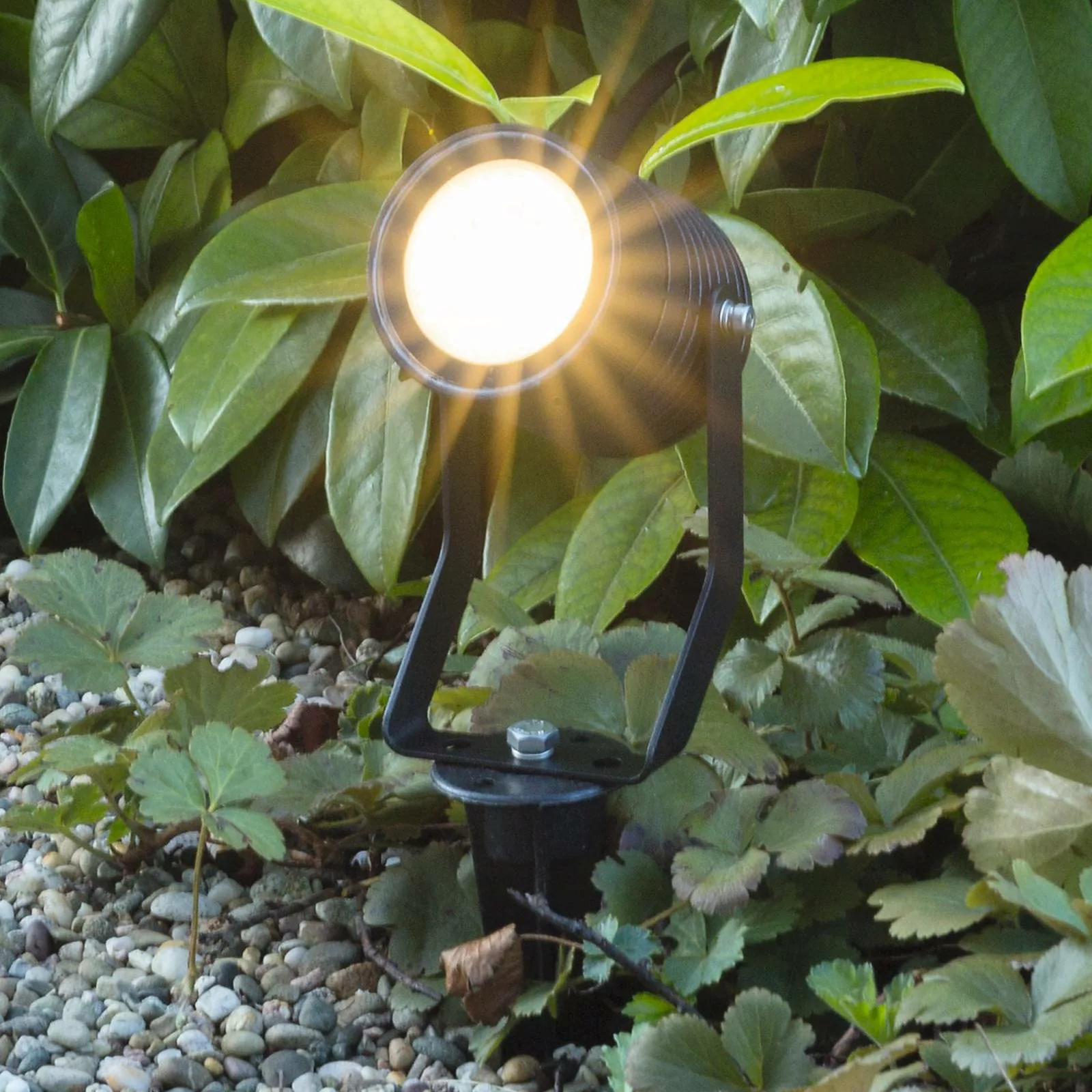 LED-Erdspießstrahler Pasas schwenkbar günstig online kaufen