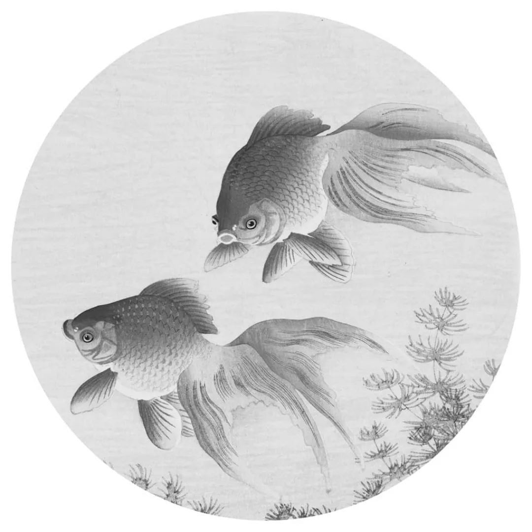 Wallart Fototapete Two Goldfish Rund 190 Cm günstig online kaufen