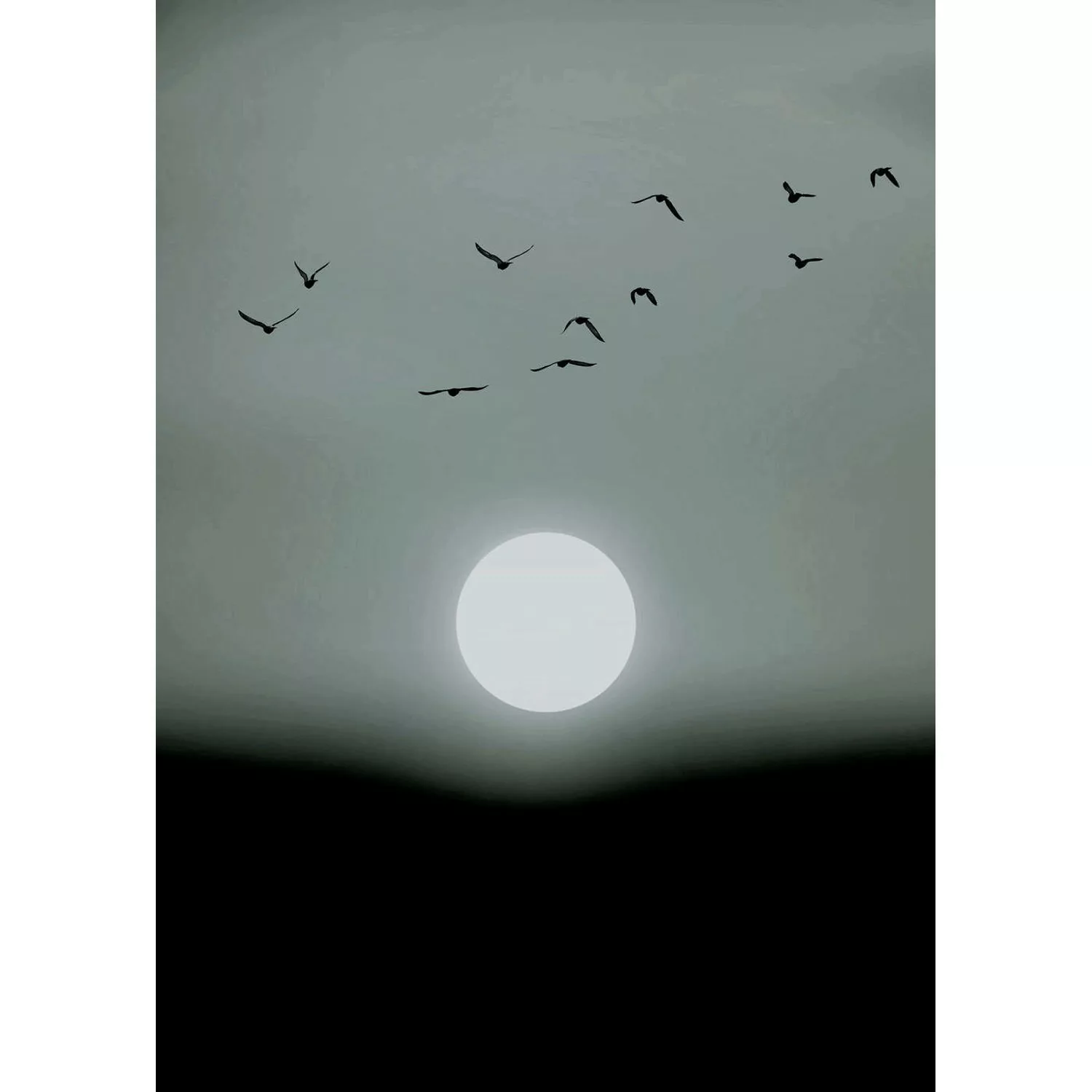 Fototapete Vögel Mond Nebel Weiß Grau Schwarz  2,00 m x 2,80 m FSC® günstig online kaufen