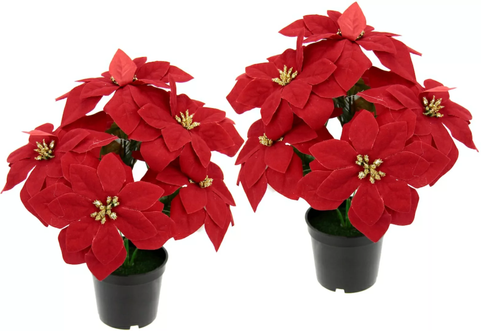 I.GE.A. Kunstpflanze "Poinsettie", im Topf, 2er Set günstig online kaufen