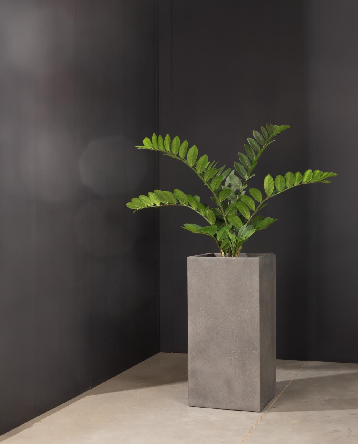 Glücksfeder Zamioculcas Kunstpflanze violett 60 cm günstig online kaufen