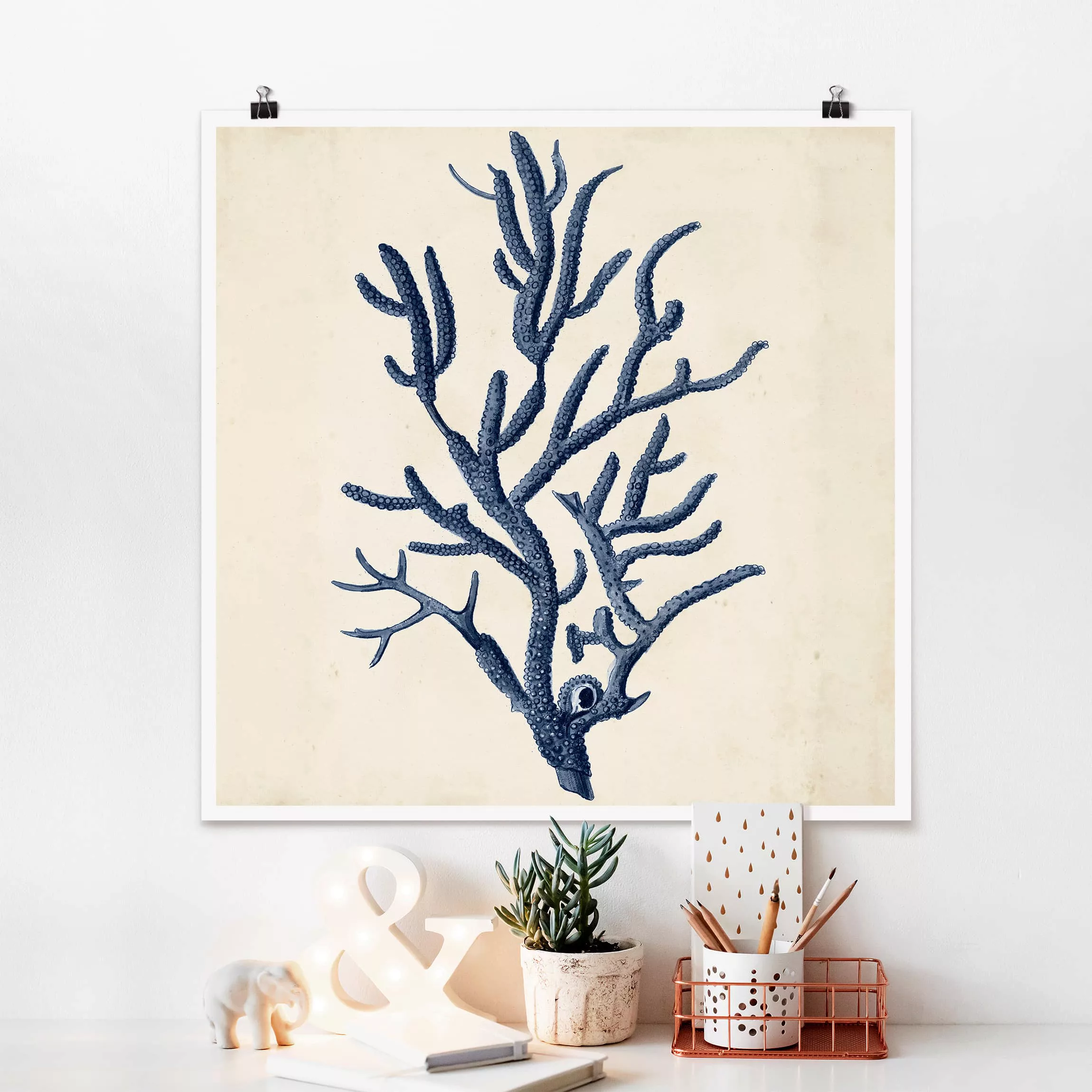 Poster Blumen - Quadrat Indigo Koralle II günstig online kaufen