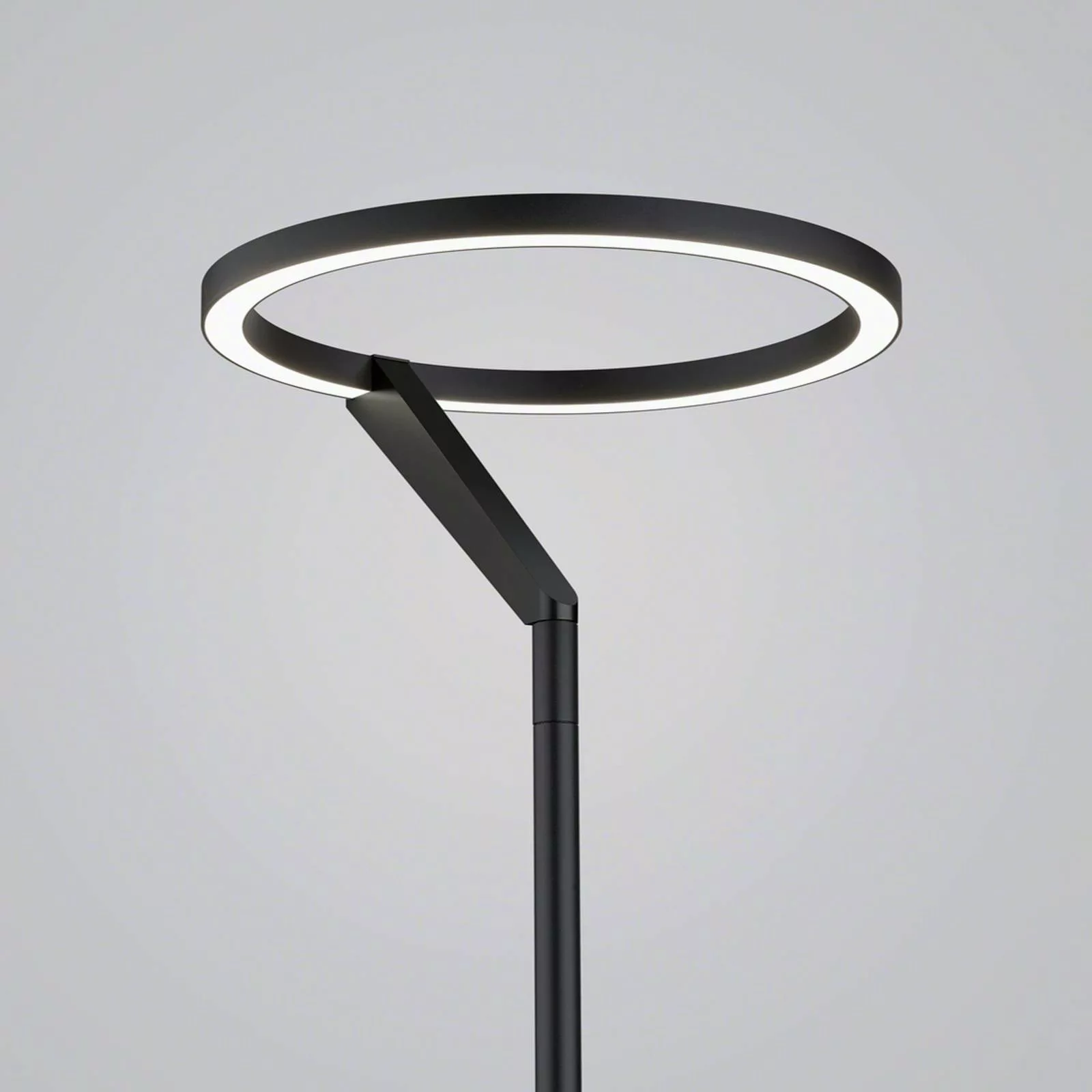 Helestra Elara LED-Stehlampe down dimmbar schwarz günstig online kaufen