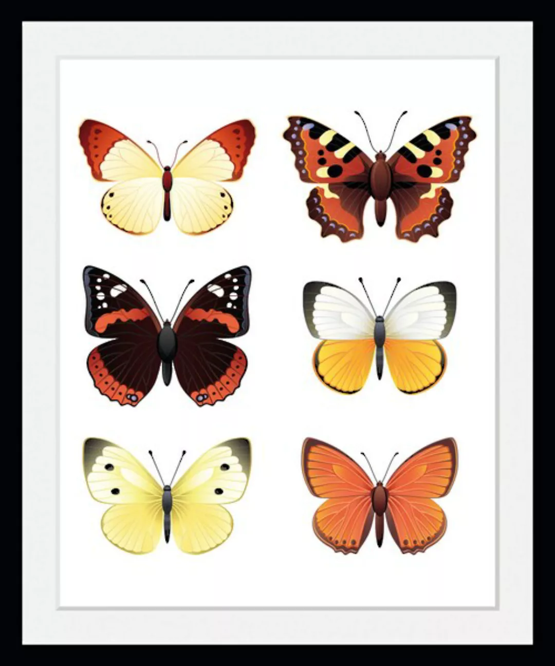 queence Bild »Elina«, Schmetterlinge, (1 St.) günstig online kaufen