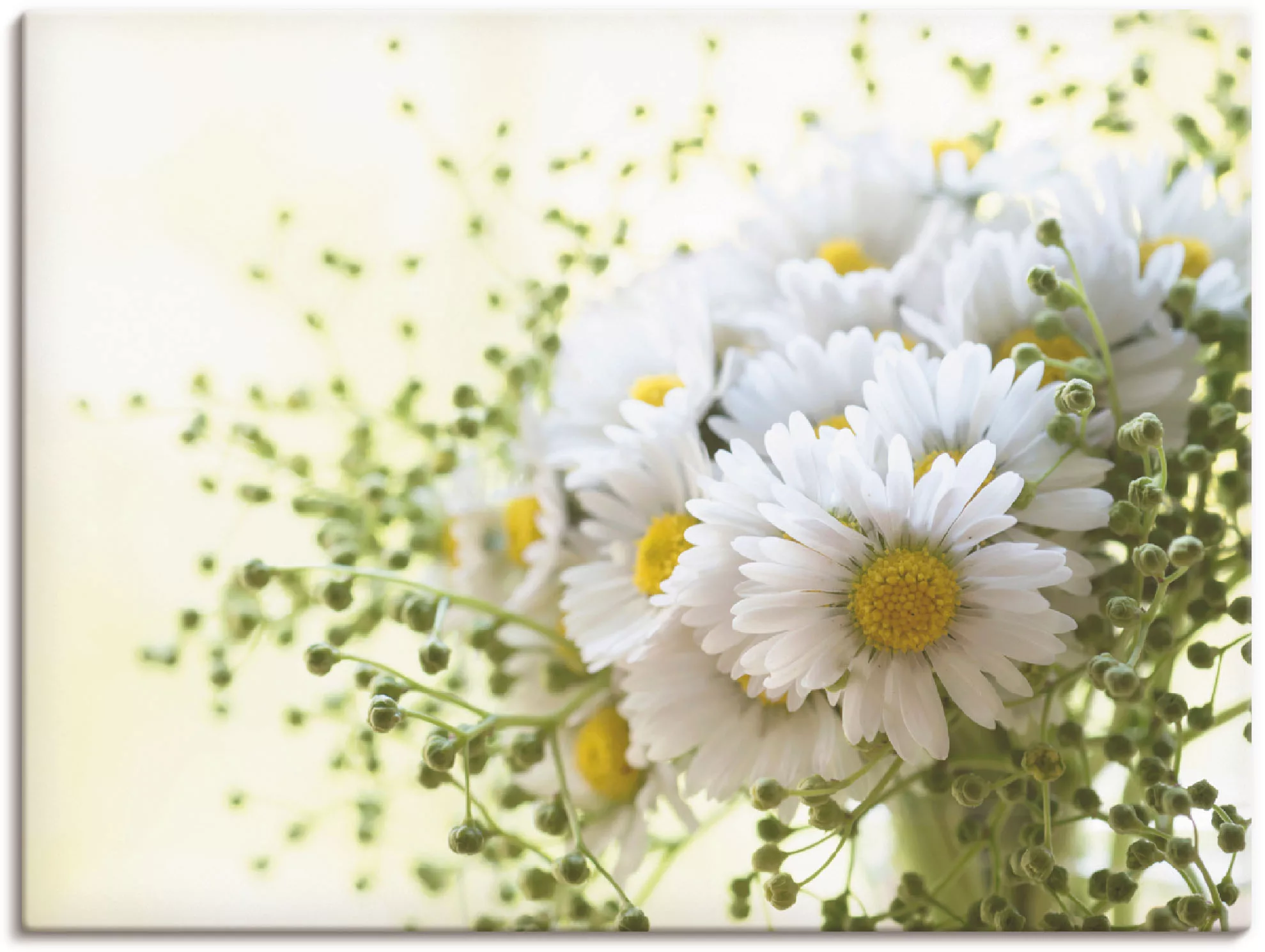 Artland Wandbild "Gänseblümchen und Hofstaat", Blumen, (1 St.), als Leinwan günstig online kaufen