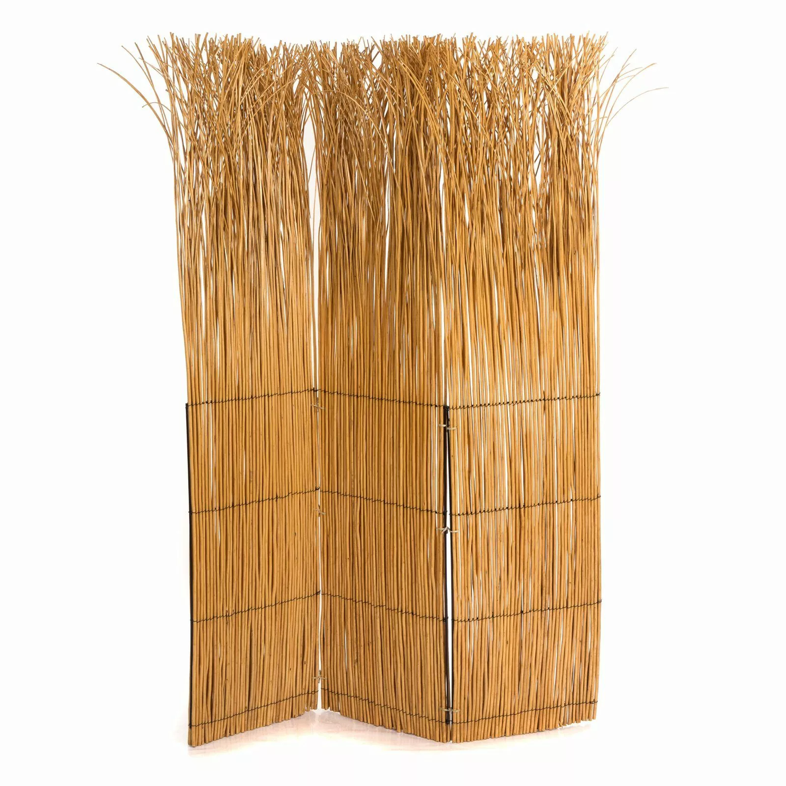 DESIGN DELIGHTS Paravent RAUMTEILER NATURE, honigfarben günstig online kaufen