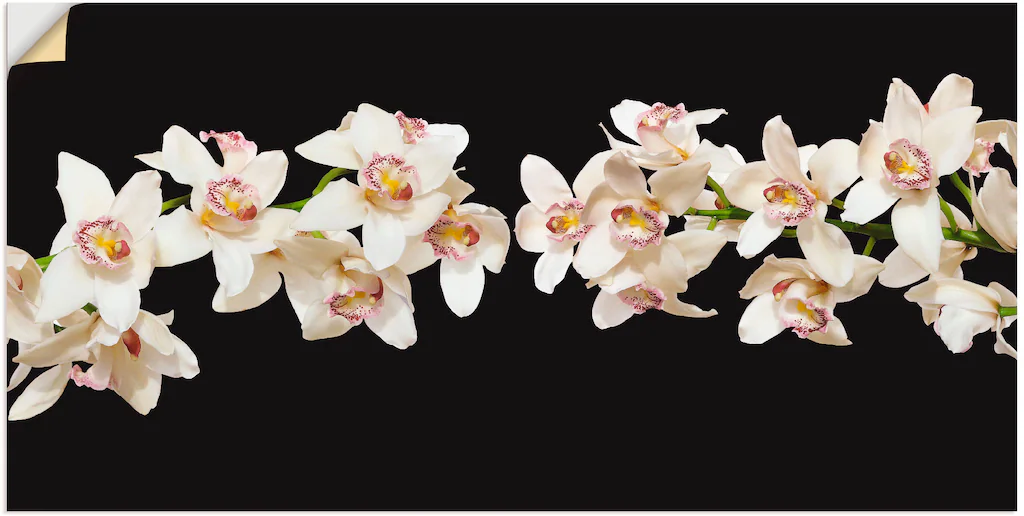 Artland Wandfolie "Weiße Orchideen", Blumen, (1 St.), selbstklebend günstig online kaufen