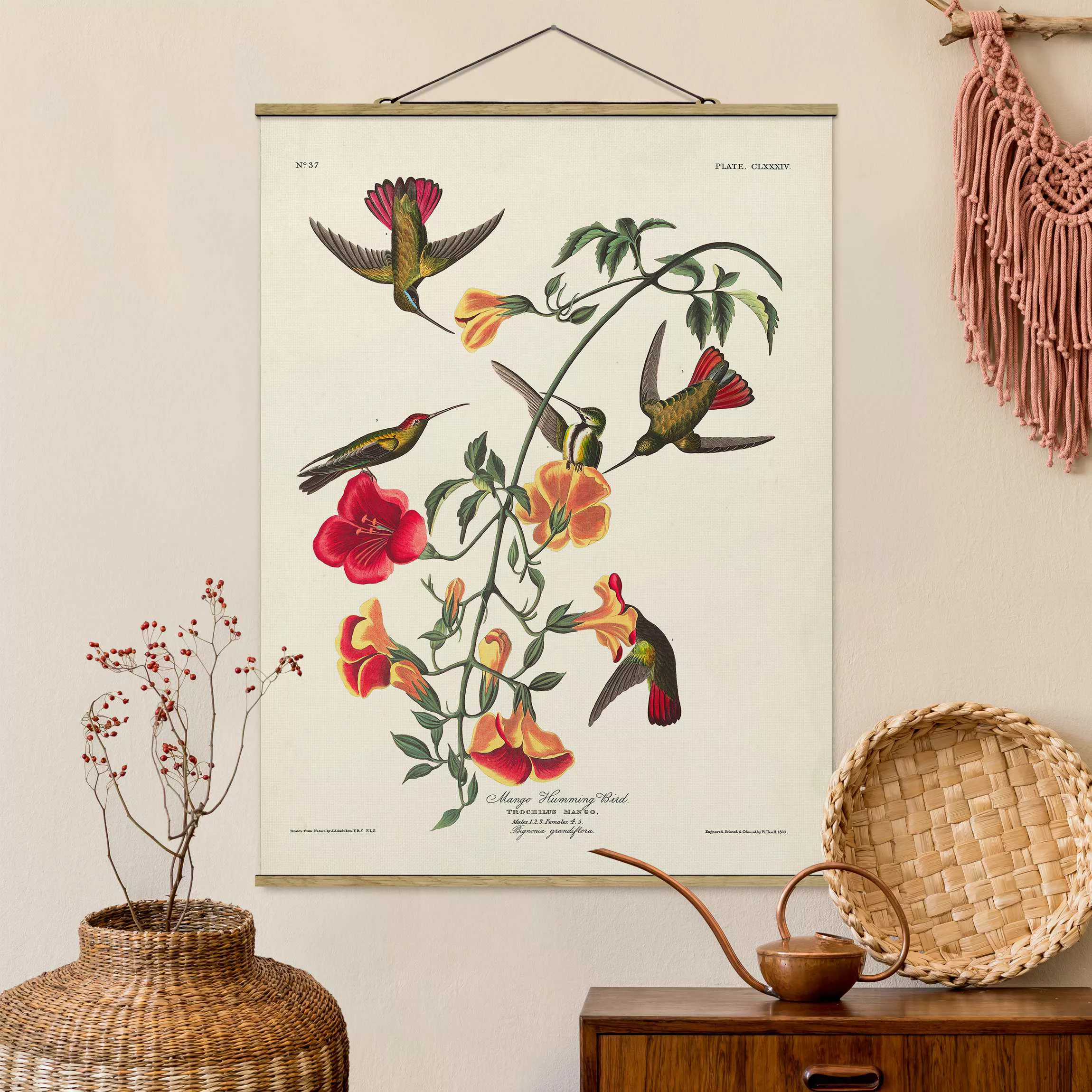 Stoffbild Blumen mit Posterleisten - Hochformat Vintage Lehrtafel Mango Kol günstig online kaufen