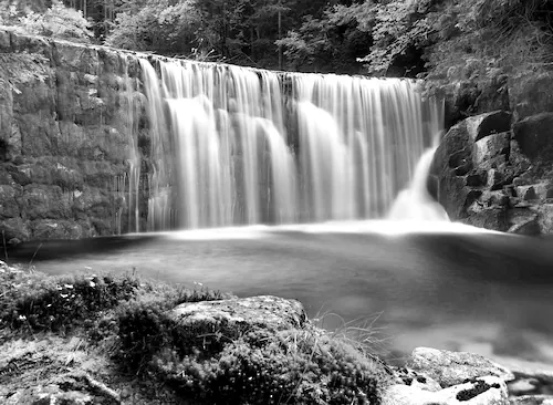 Papermoon Fototapete »Wasserfall im Wald Schwarz & Weiß« günstig online kaufen