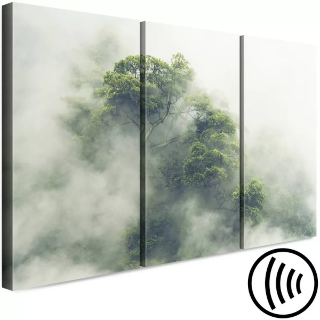 Bild auf Leinwand Foggy Amazon (3 Parts) XXL günstig online kaufen