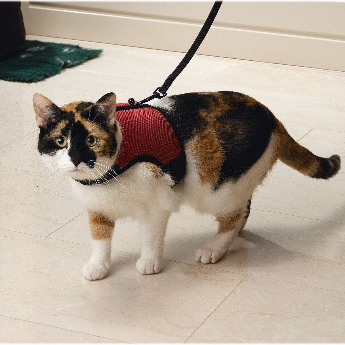 Beeztees Geschirr Katzengeschirr Comfort rot günstig online kaufen