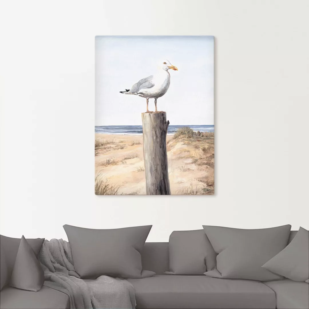 Artland Wandbild "Möwe", Vögel, (1 St.), als Alubild, Outdoorbild, Leinwand günstig online kaufen