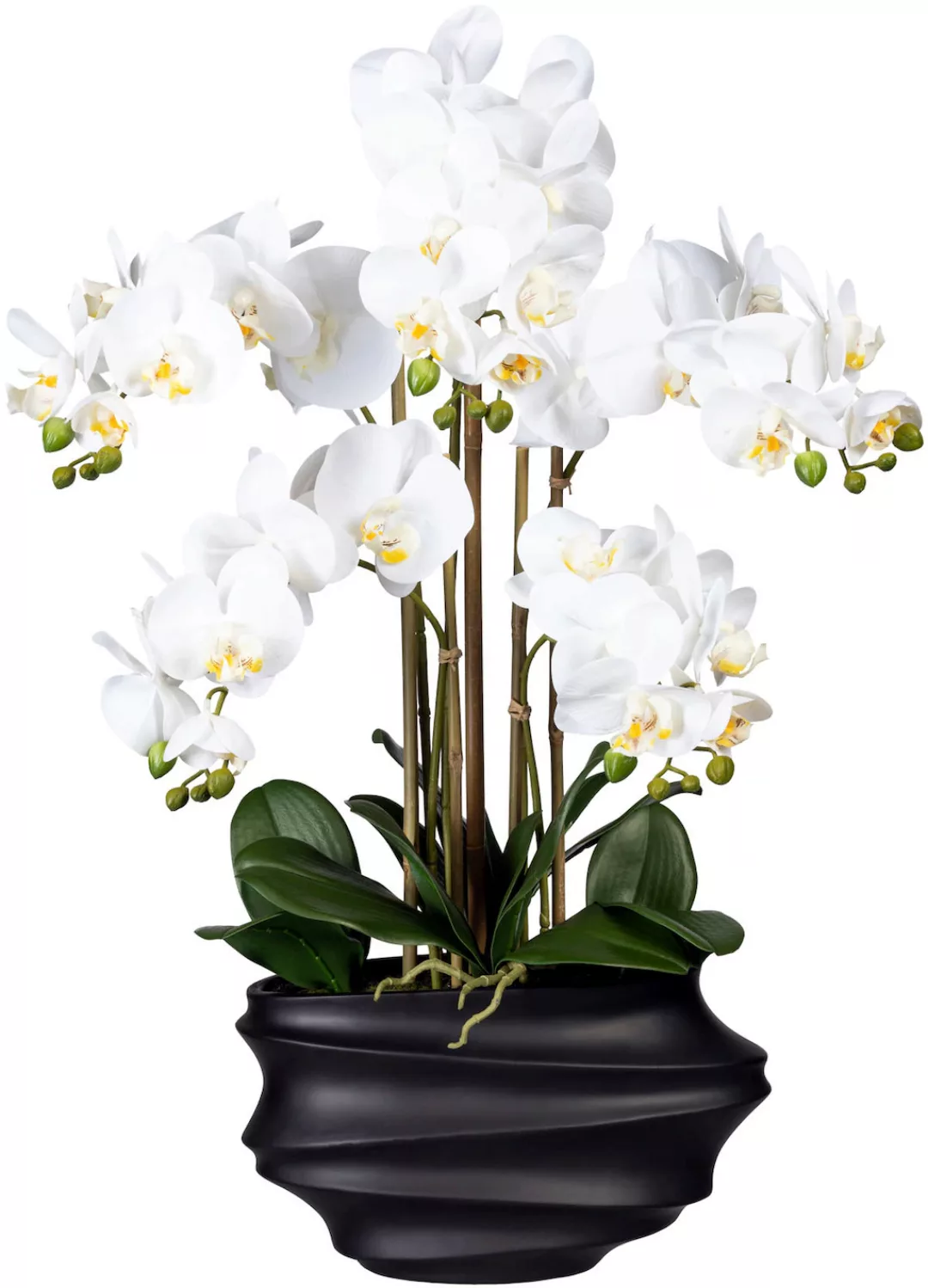 Creativ green Kunstorchidee "Phalaenopsis", in Design-Kunststoffvase günstig online kaufen