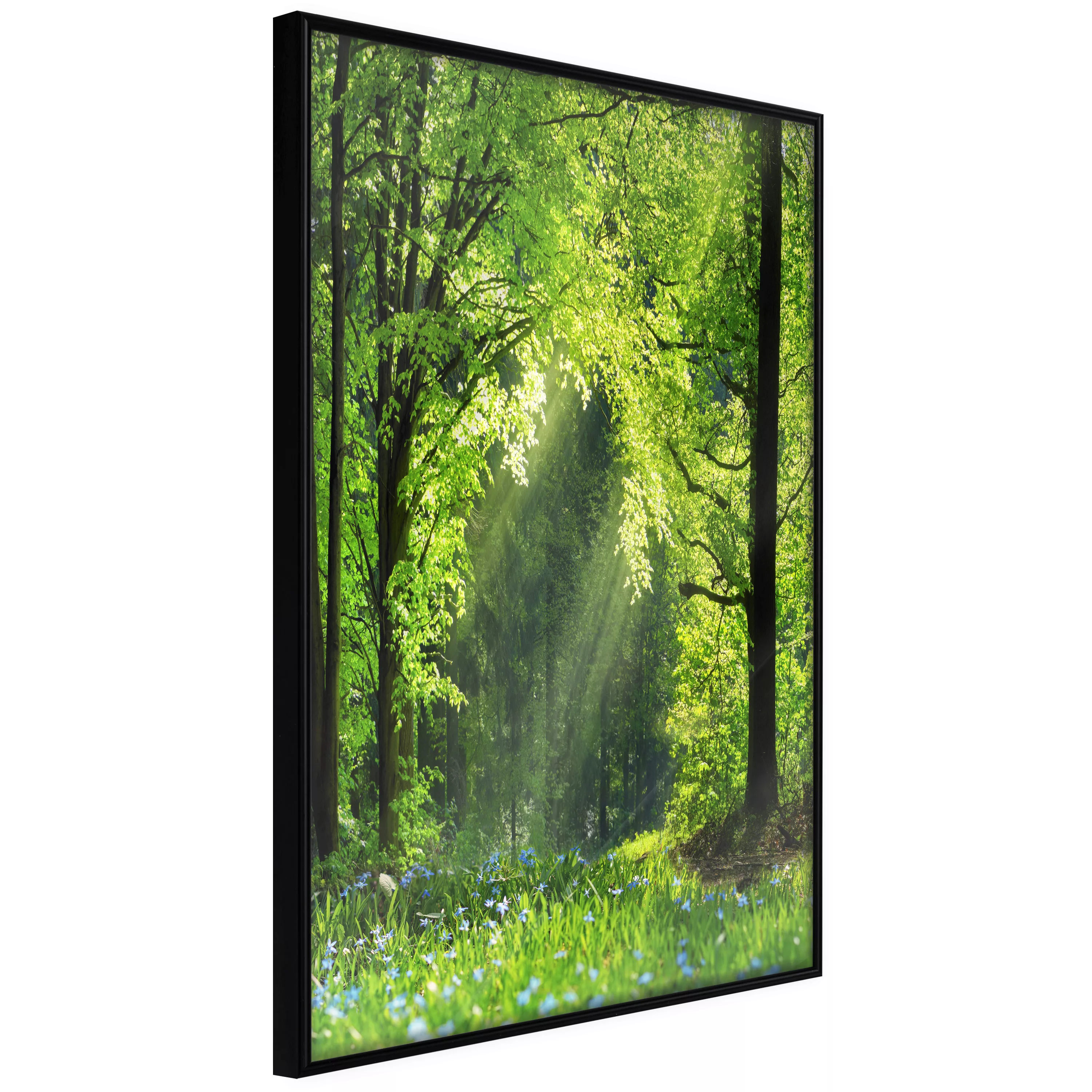 Poster - Forest Path günstig online kaufen