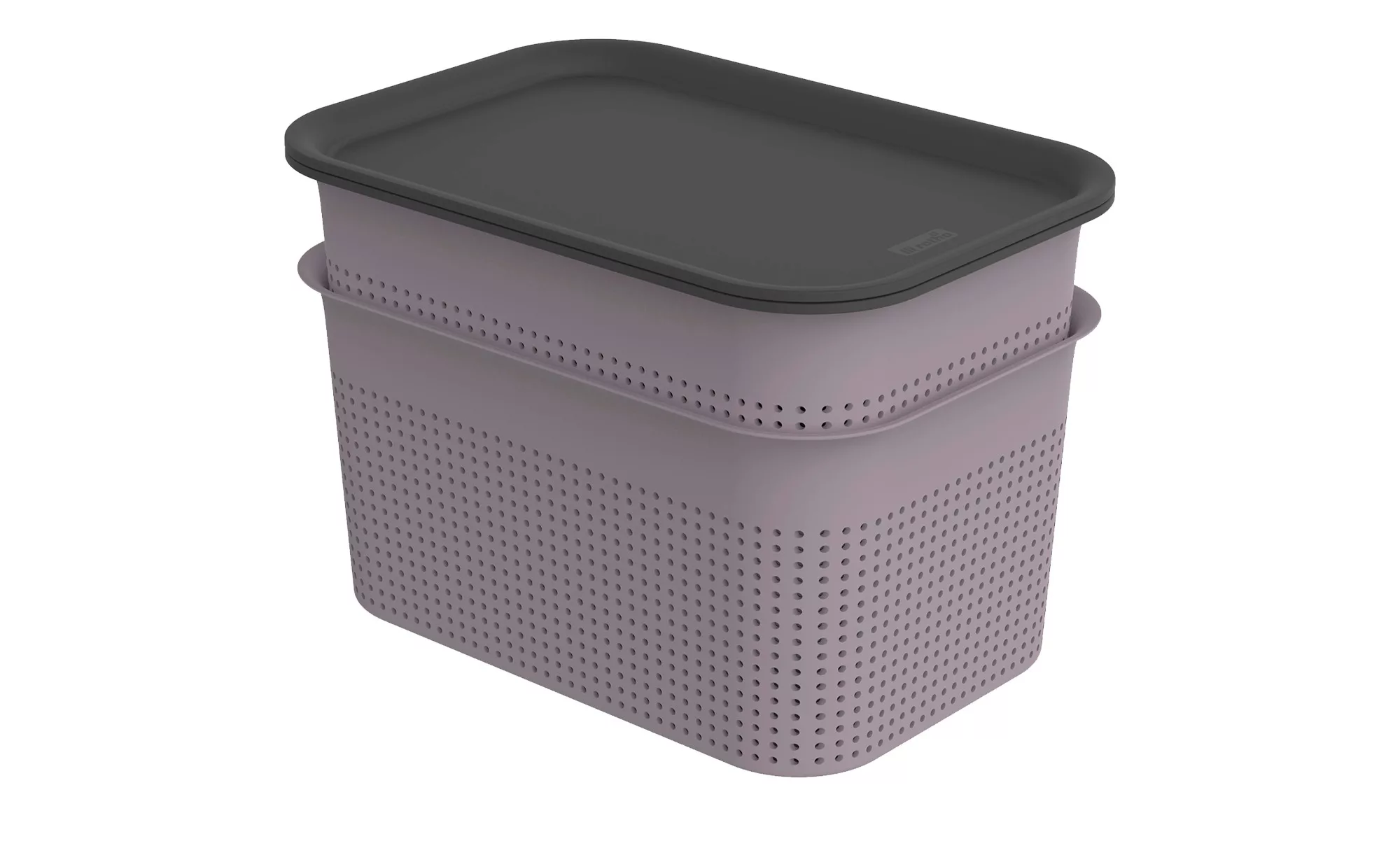 Rotho Aufbewahrungsbox, Set 4 tlg. - lila/violett - Polypropylen - 26 cm - günstig online kaufen
