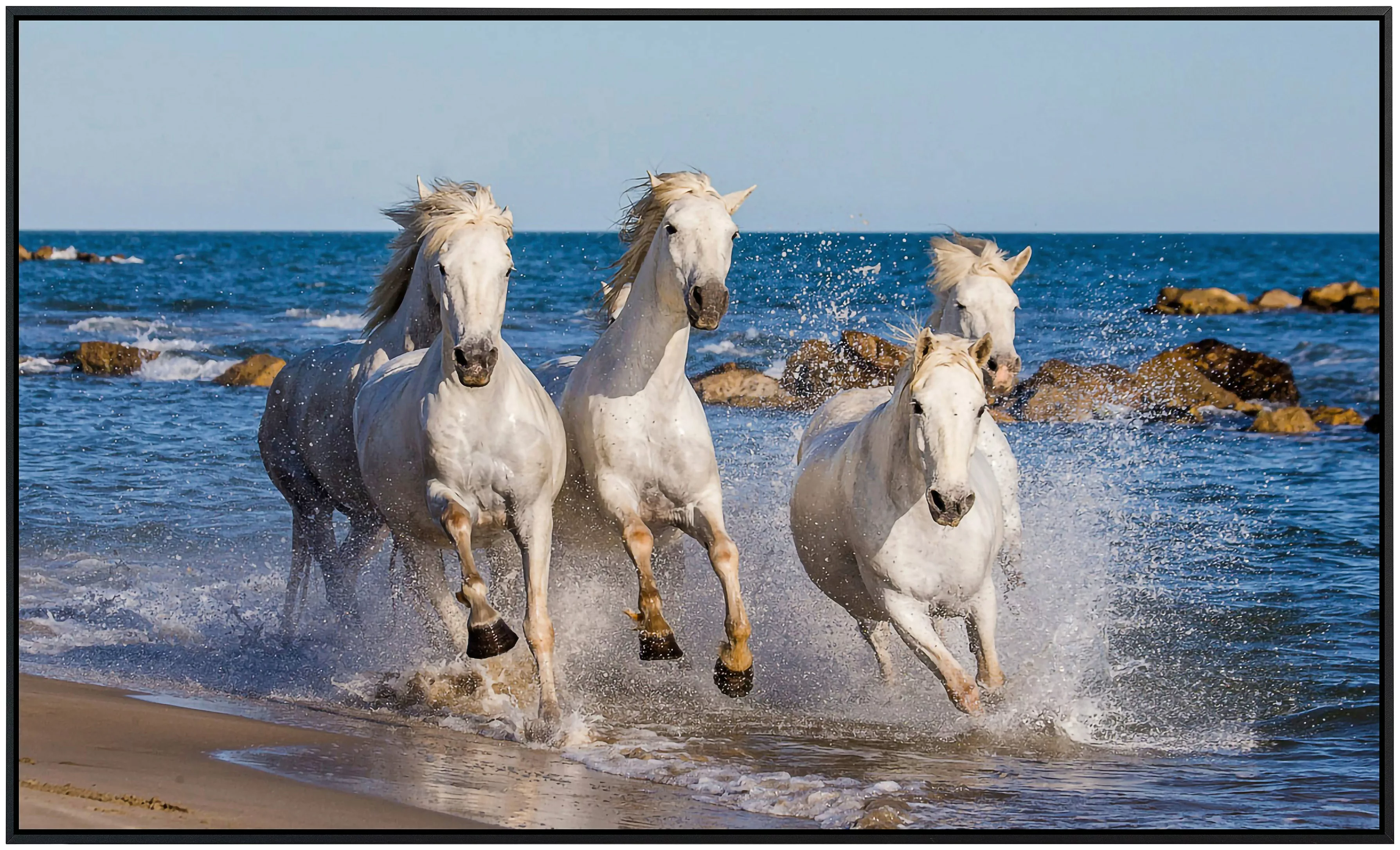 Papermoon Infrarotheizung »Camargue Pferde«, sehr angenehme Strahlungswärme günstig online kaufen
