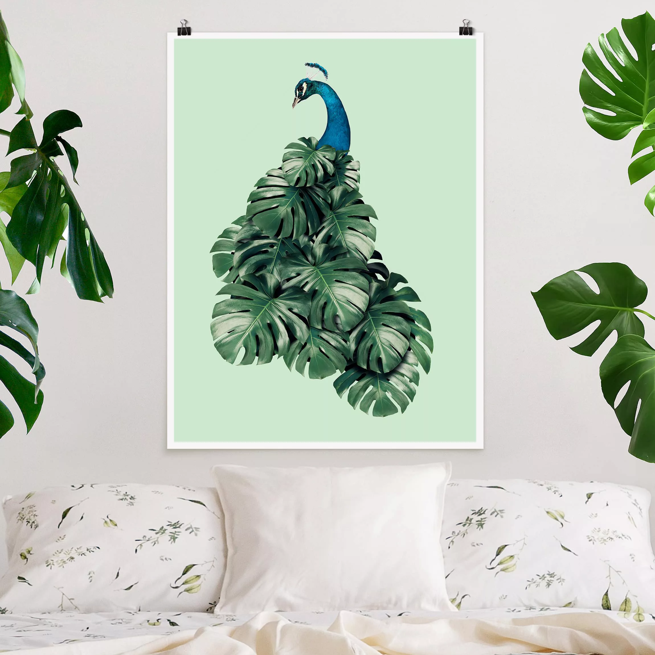 Poster Tiere - Hochformat Pfau mit Monstera Blättern günstig online kaufen