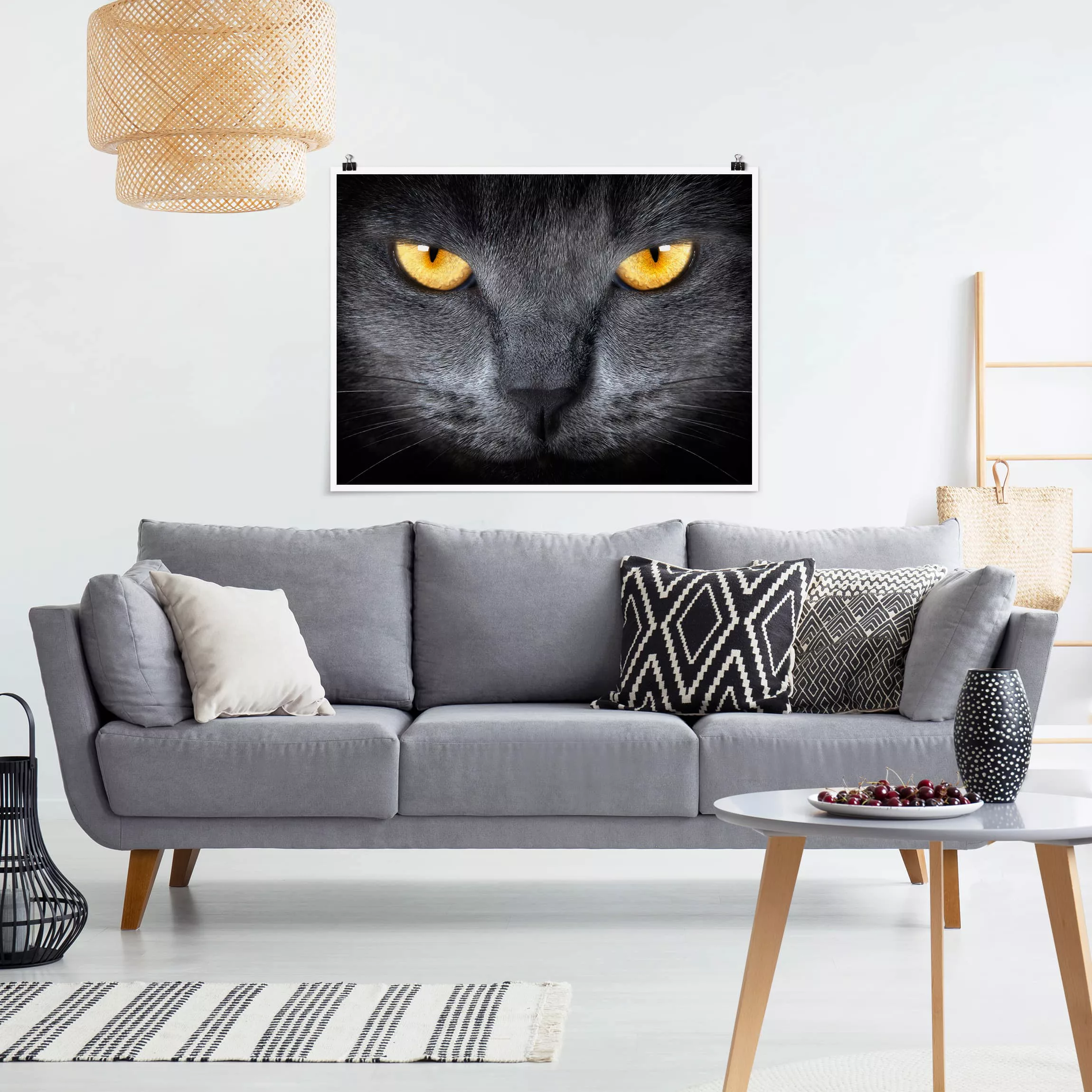 Poster Tiere - Querformat Cats Gaze günstig online kaufen