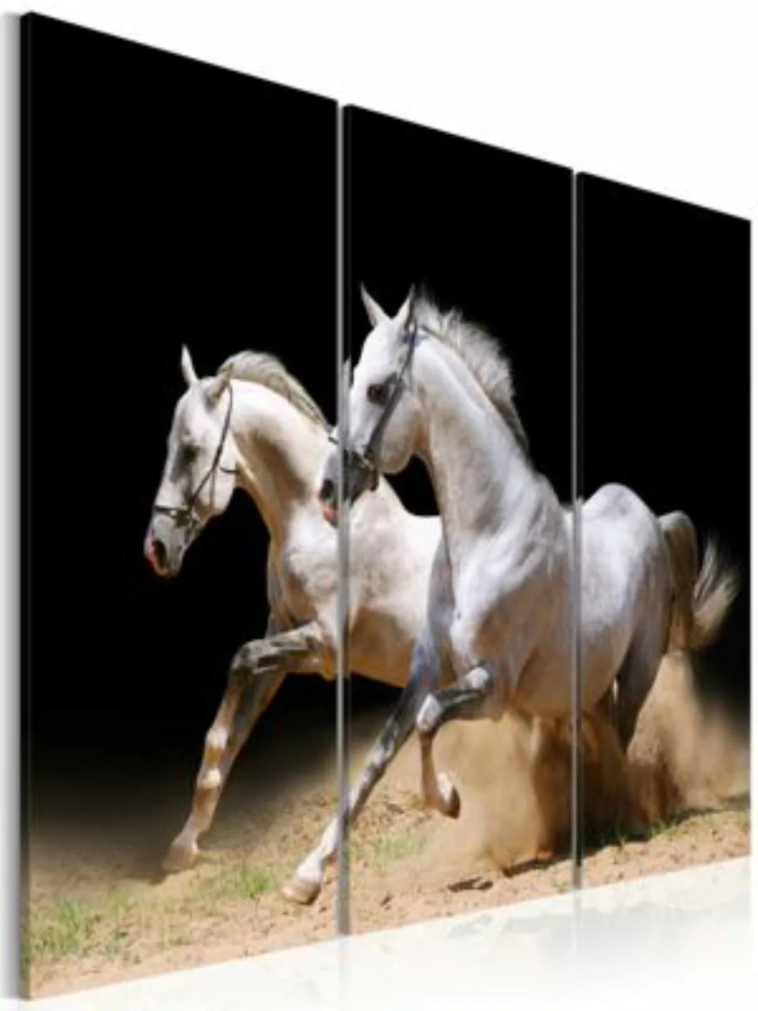 artgeist Wandbild Pferde - Energie und Dynamik mehrfarbig Gr. 60 x 40 günstig online kaufen
