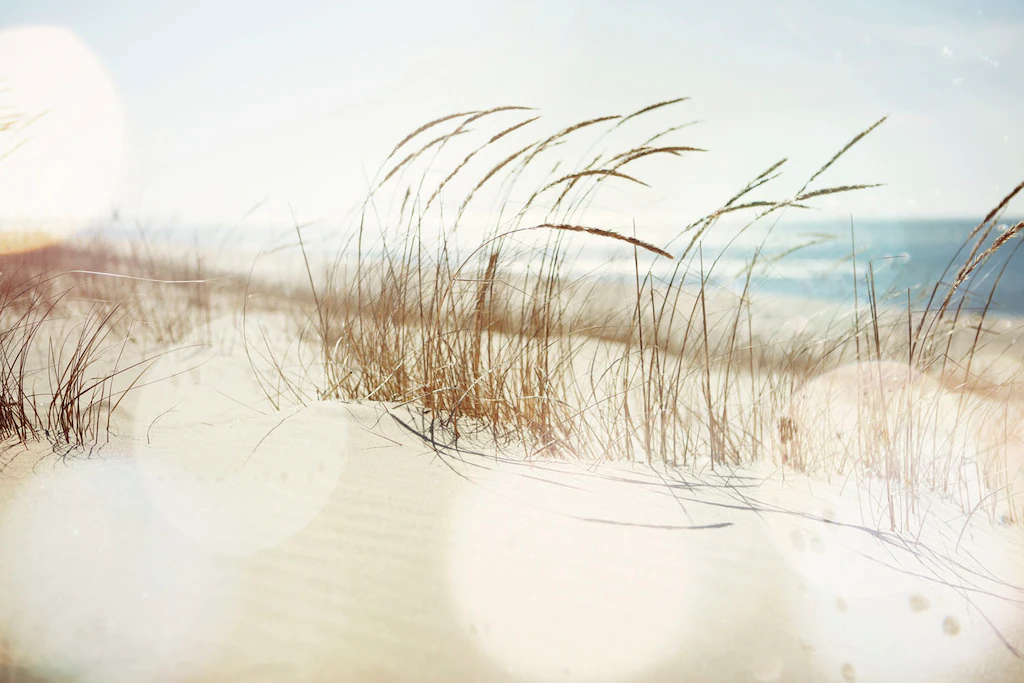 queence Acrylglasbild "Estan", Strand-Himmel-Düne-Deutschland-Gräser-Meer-M günstig online kaufen