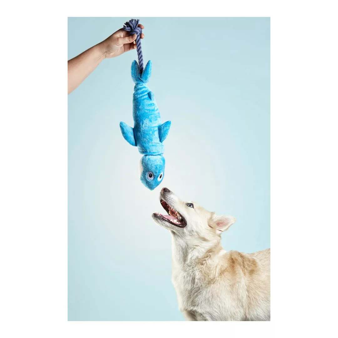 Hundespielzeug Gloria Clint Hai günstig online kaufen