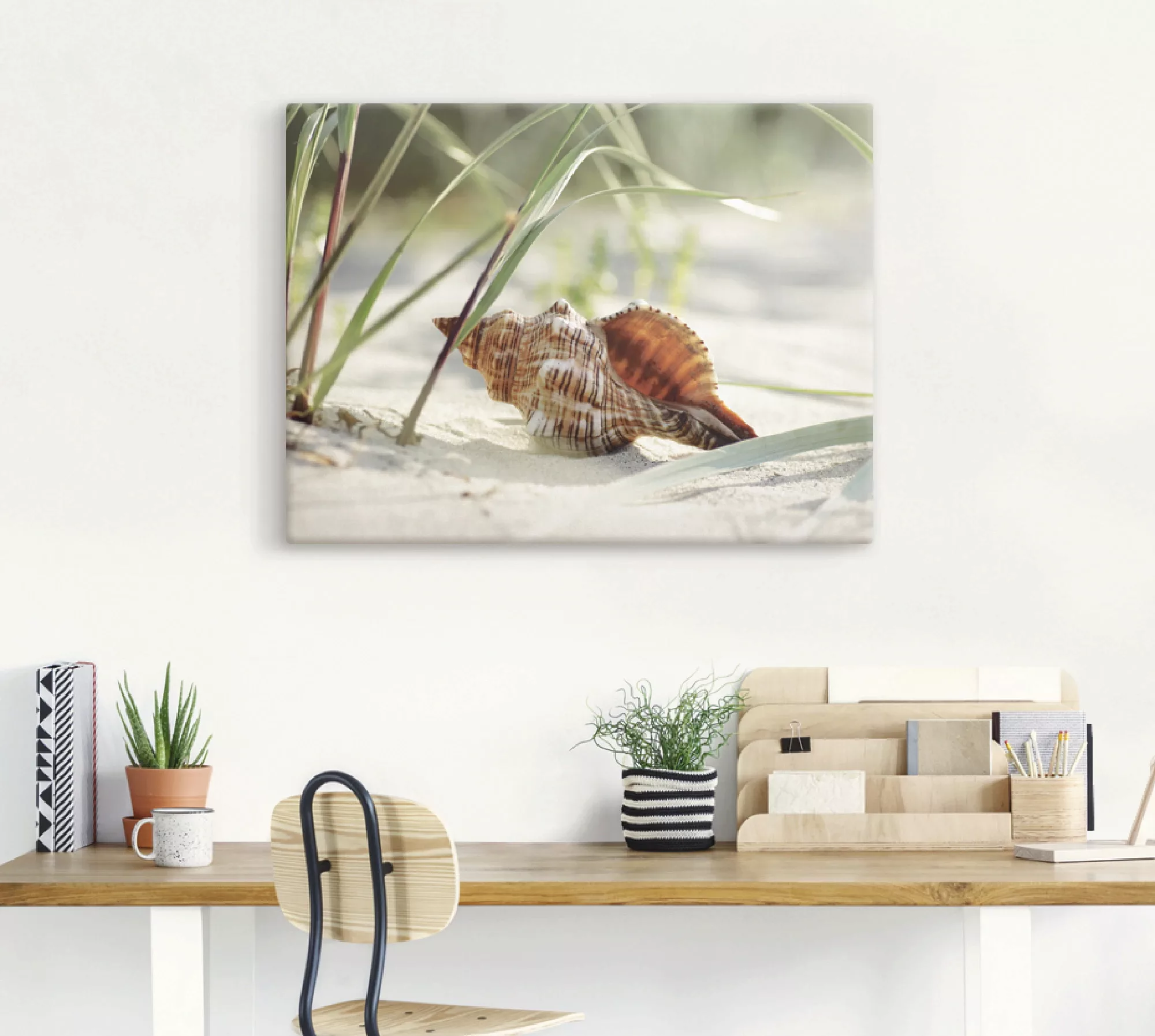 Artland Wandbild "Große Muschel am Strand", Wassertiere, (1 St.), als Leinw günstig online kaufen