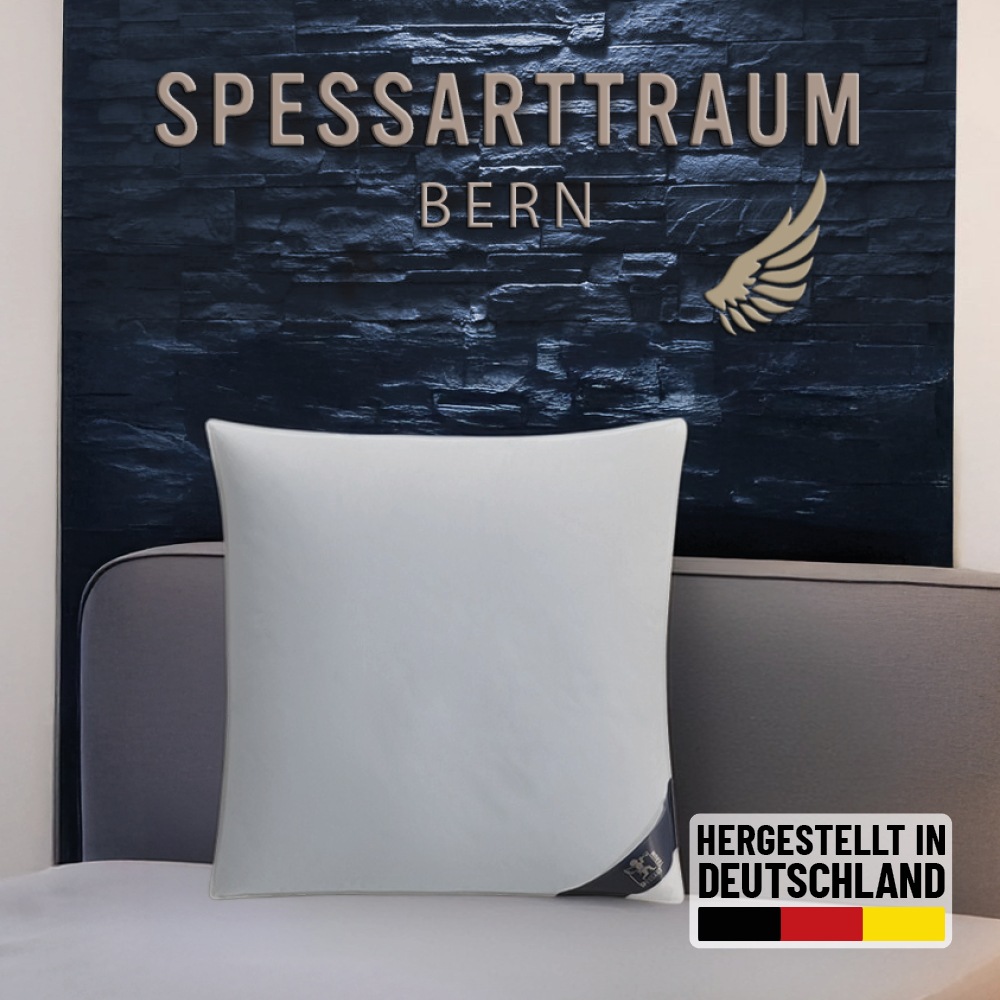 SPESSARTTRAUM 3-Kammer-Kopfkissen »Bern Kissen 40x80cm, 80x80cm«, Füllung: günstig online kaufen