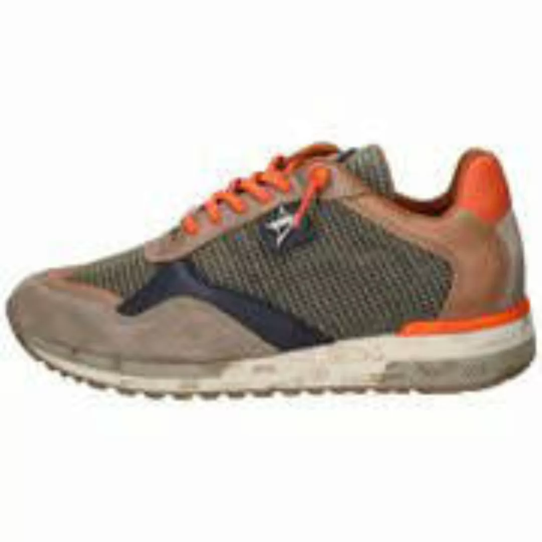 Cetti Sneaker Herren grün|grün|grün|grün|grün|grün|grün günstig online kaufen