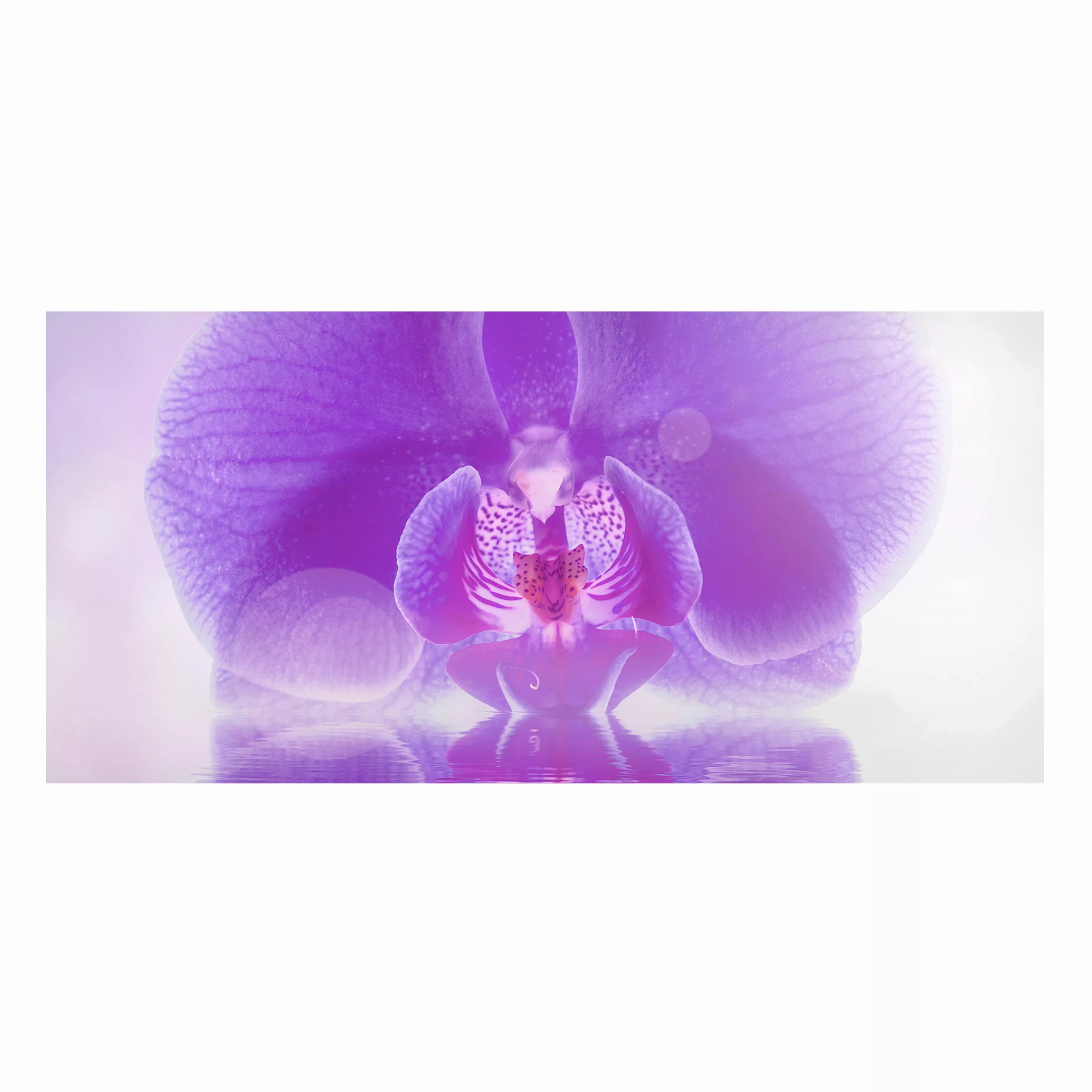 Magnettafel Blumen - Querformat 2:1 Lila Orchidee auf Wasser günstig online kaufen